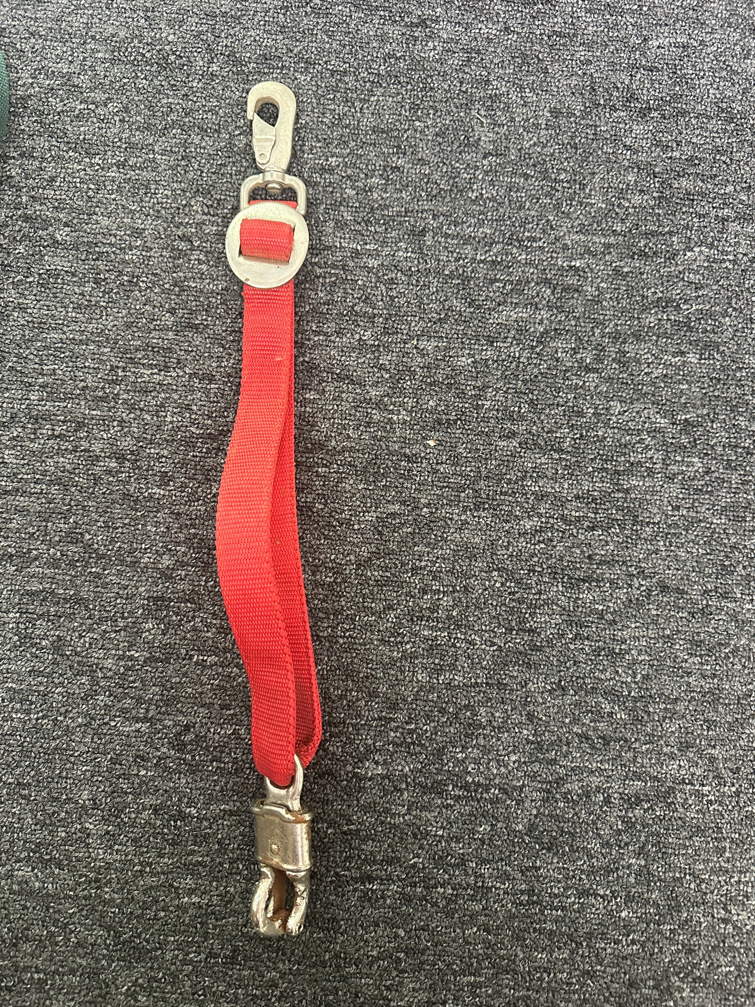 Horse Trailer Horse Ties