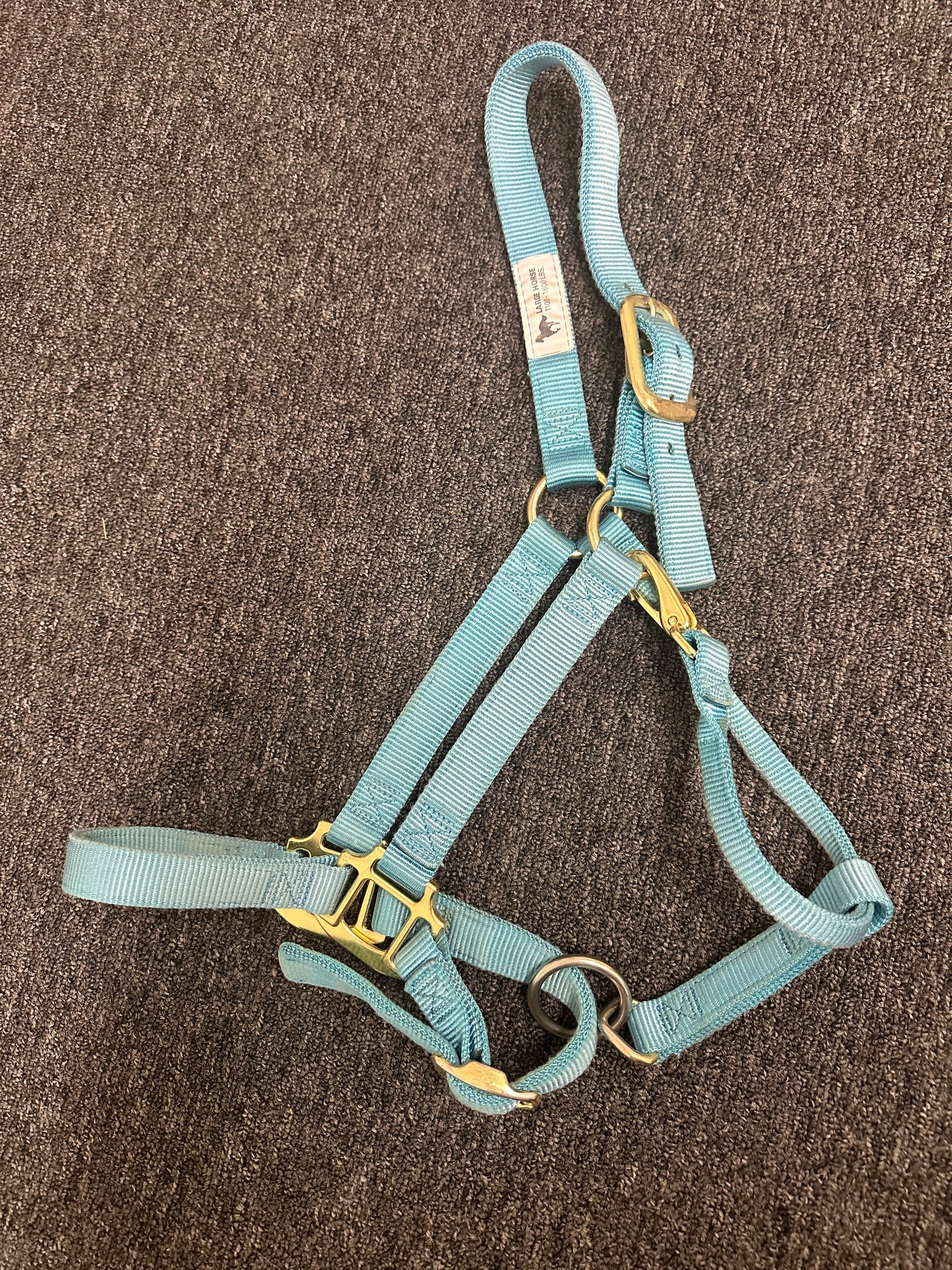 Horse Halter Blue Nylon