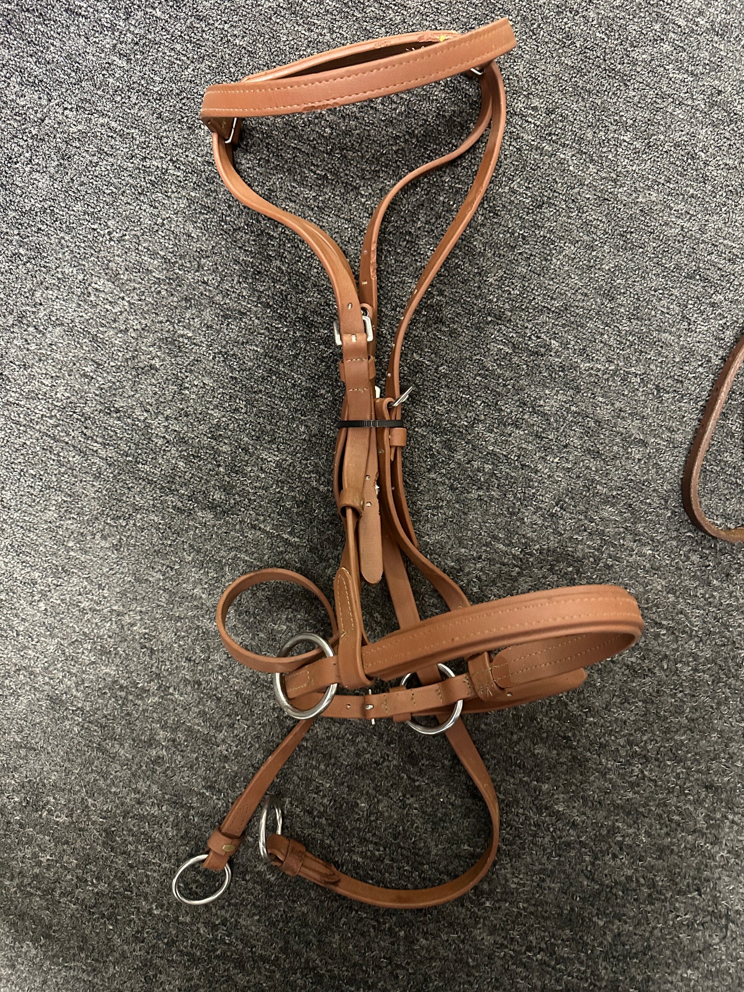 Brown Biothane Dr. Cook type bridle side pull