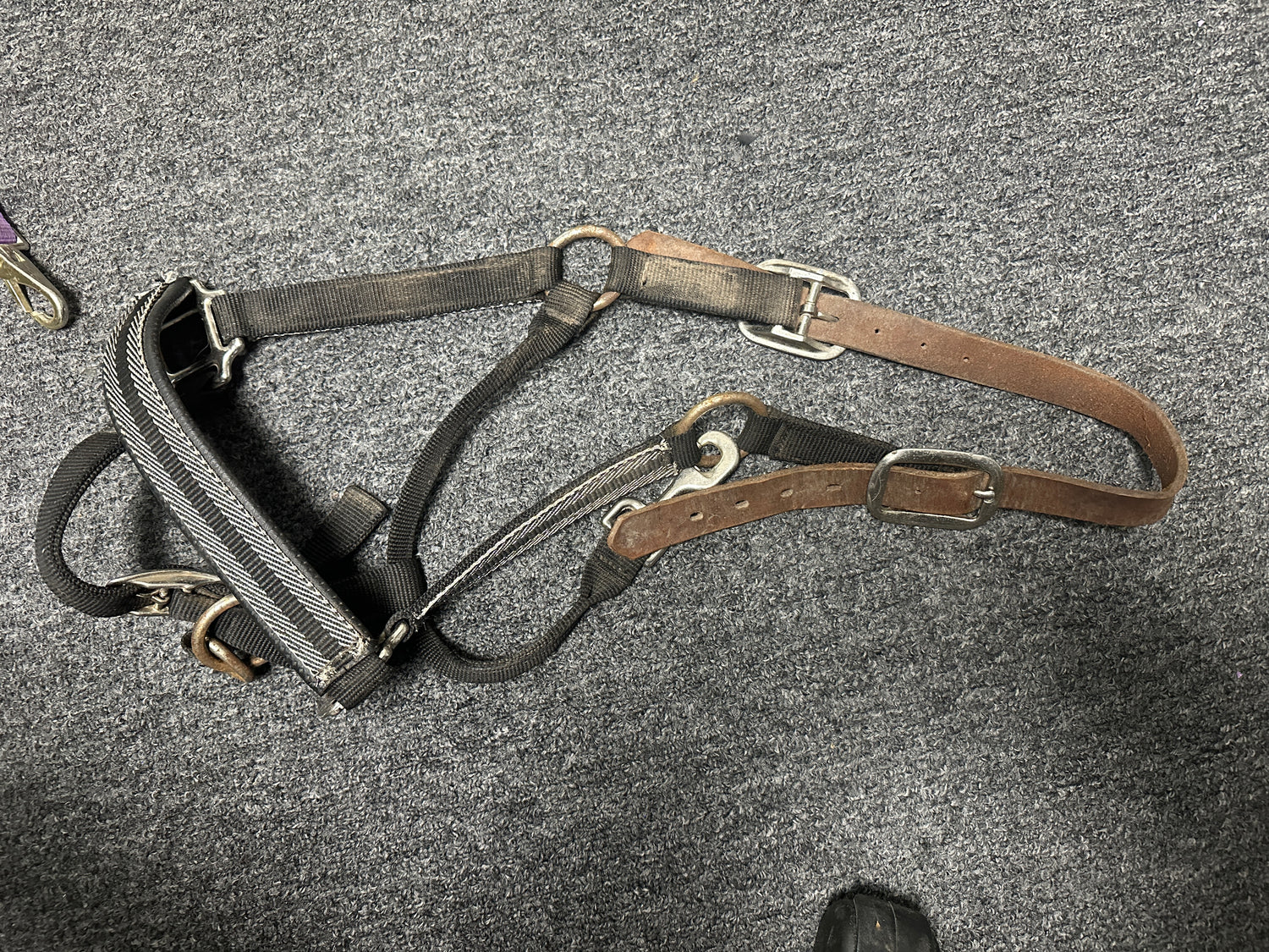 Halters Useable