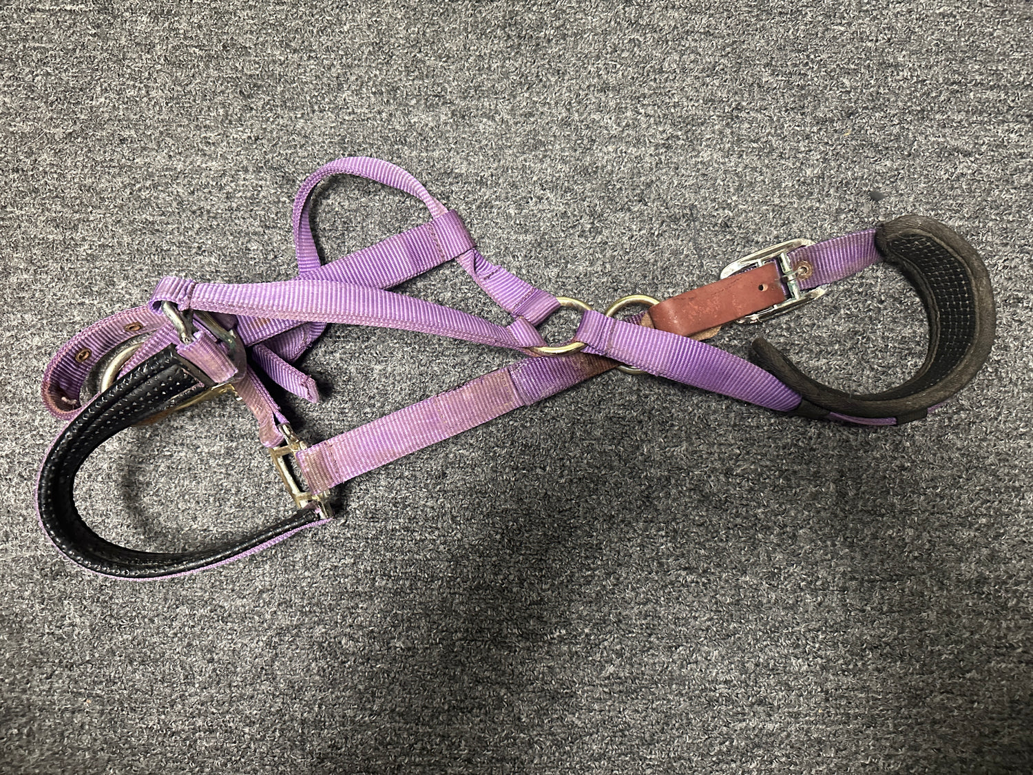 Halters Useable