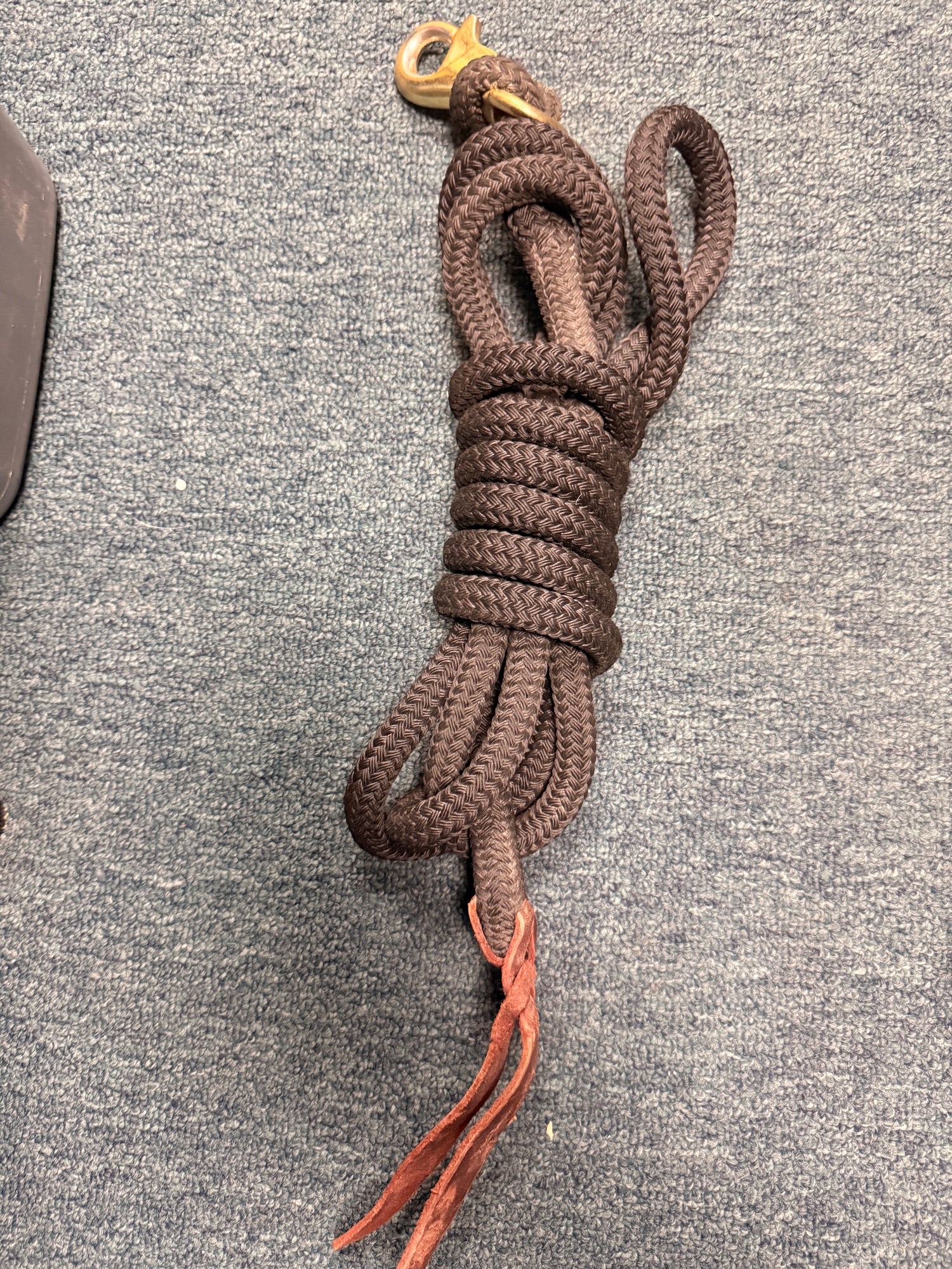 10ft Braided lead rope with leather lash