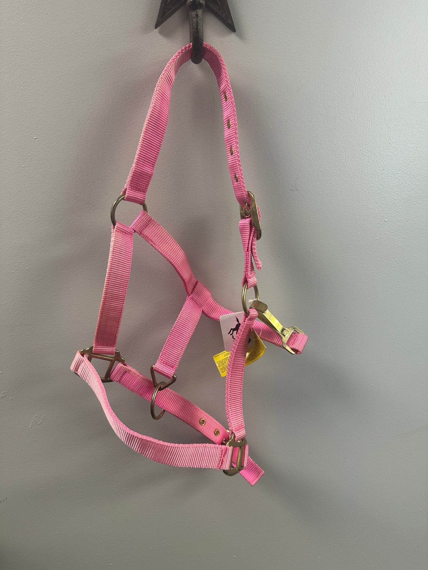 Cob Nylon Halters