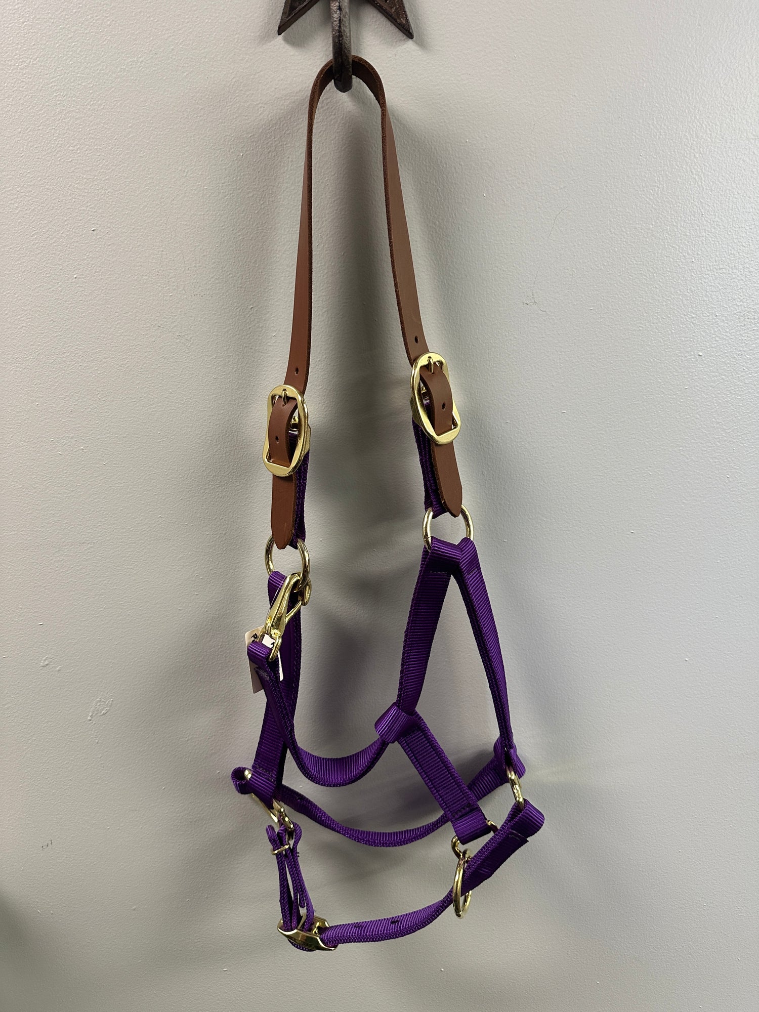 Nylon Halters with Breakaway crown and adjustable Chin strap