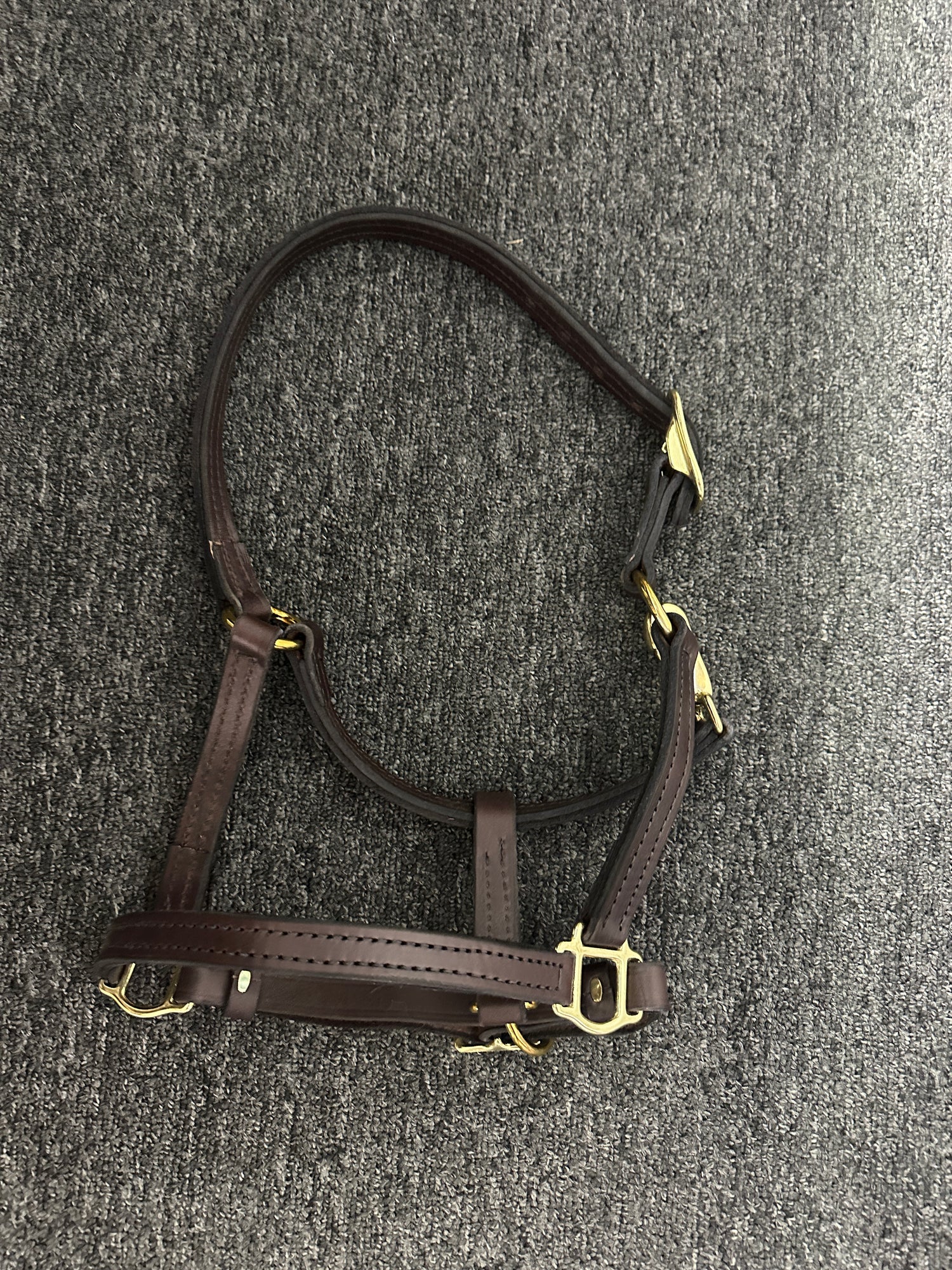 Halter Pony / Cob size  Leather