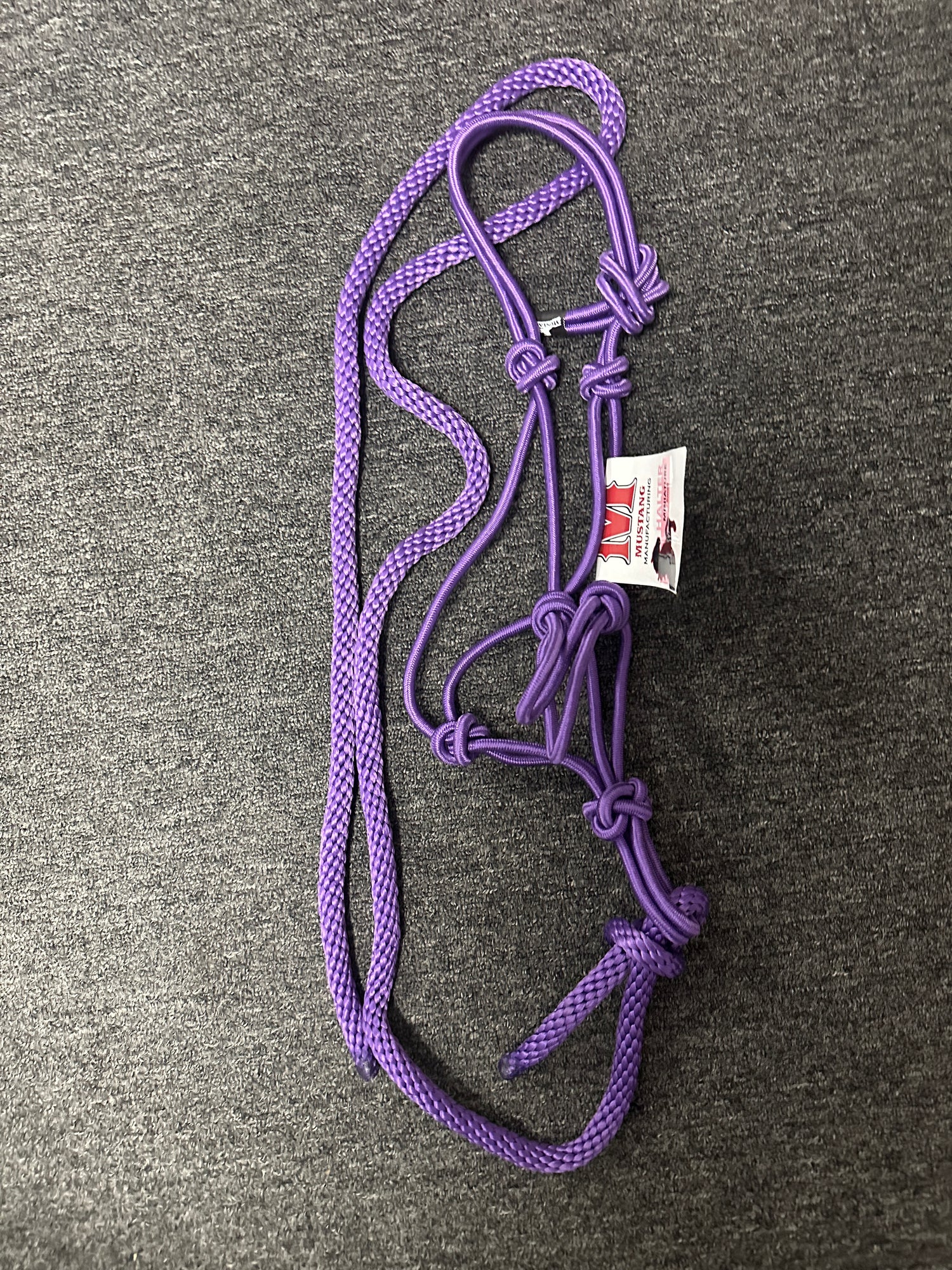 Mini Rope Halter and lead new