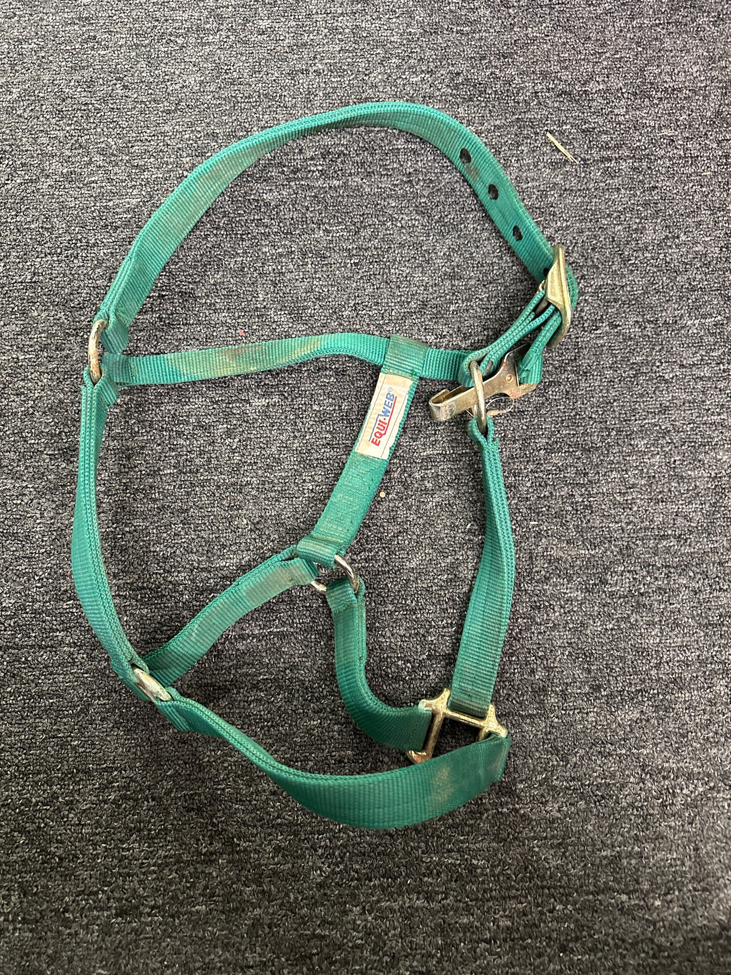 Green Nylon Halter