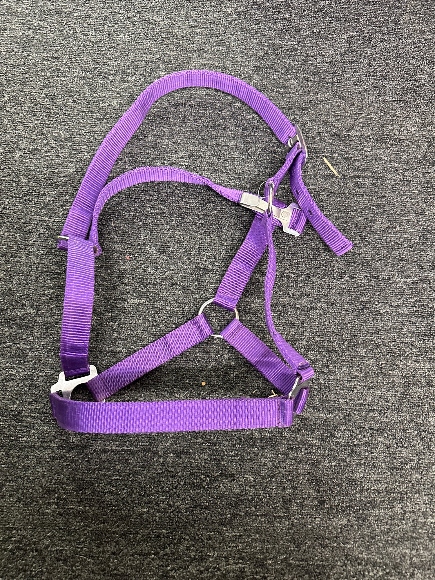 Purple Nylon Halter