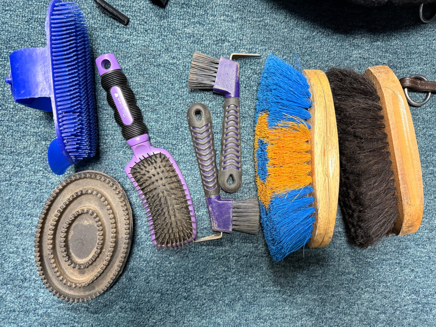 Dover Grooming back with assortment of grooming tools