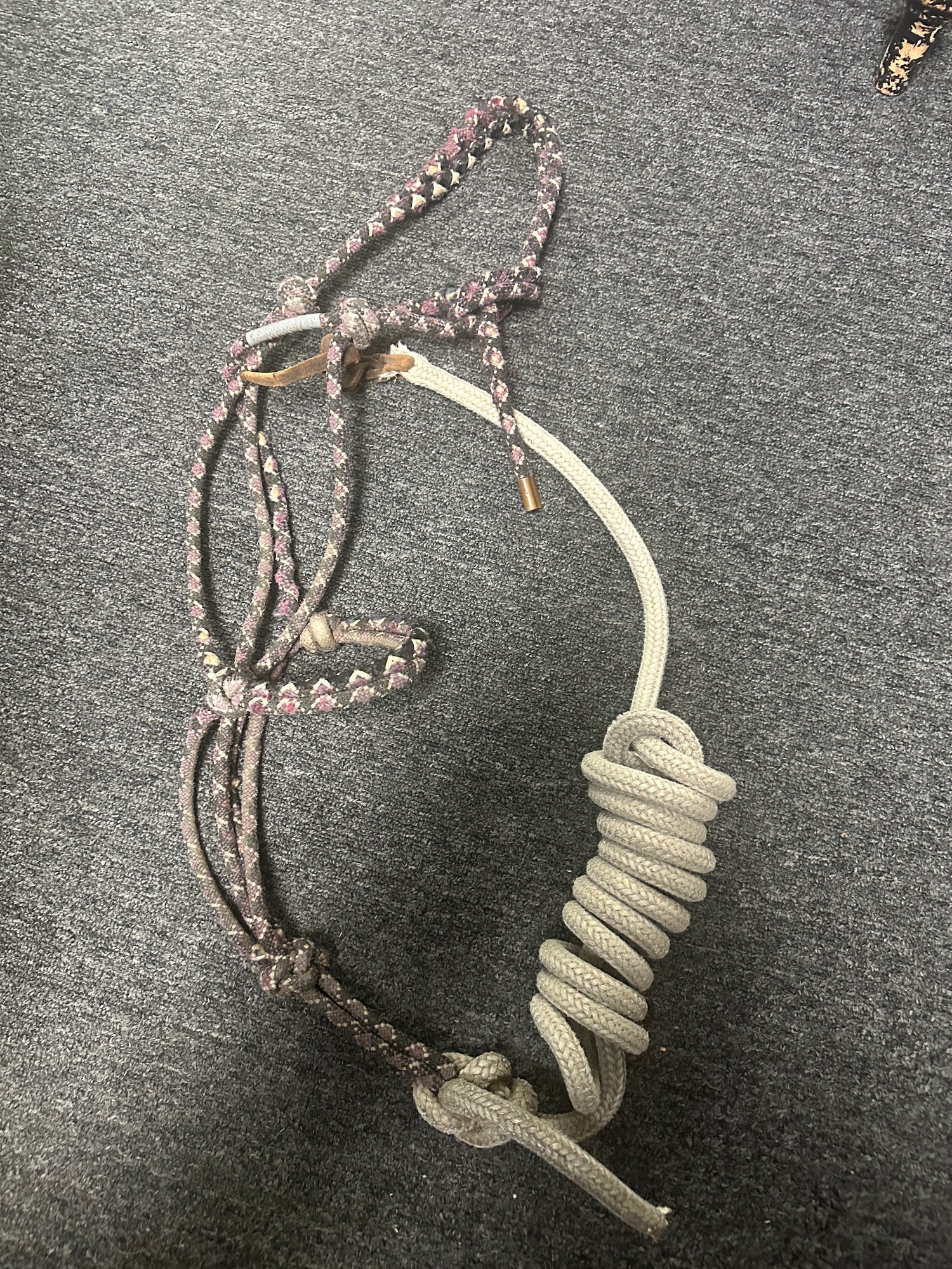 Rope Halters some with leads