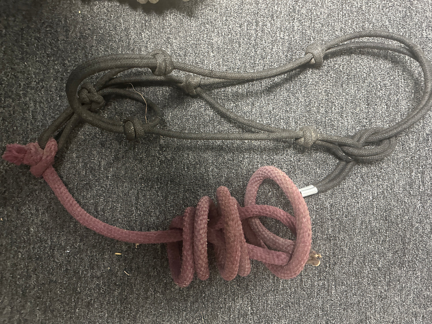 Rope Halters some with leads