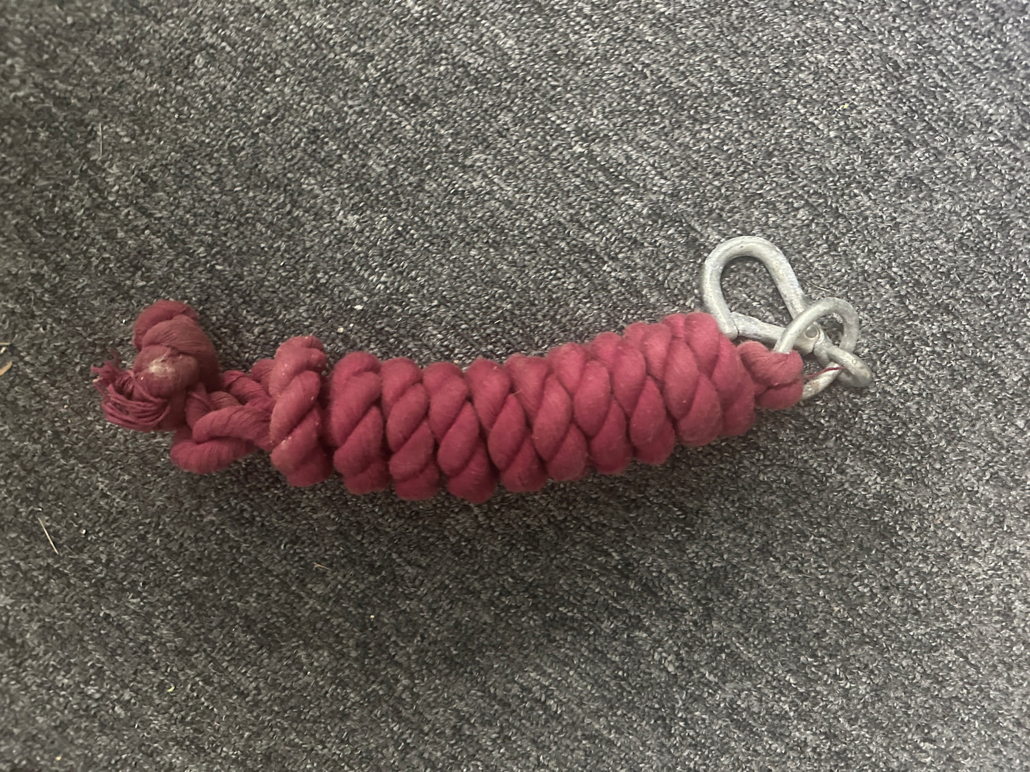 Rope Halters some with leads