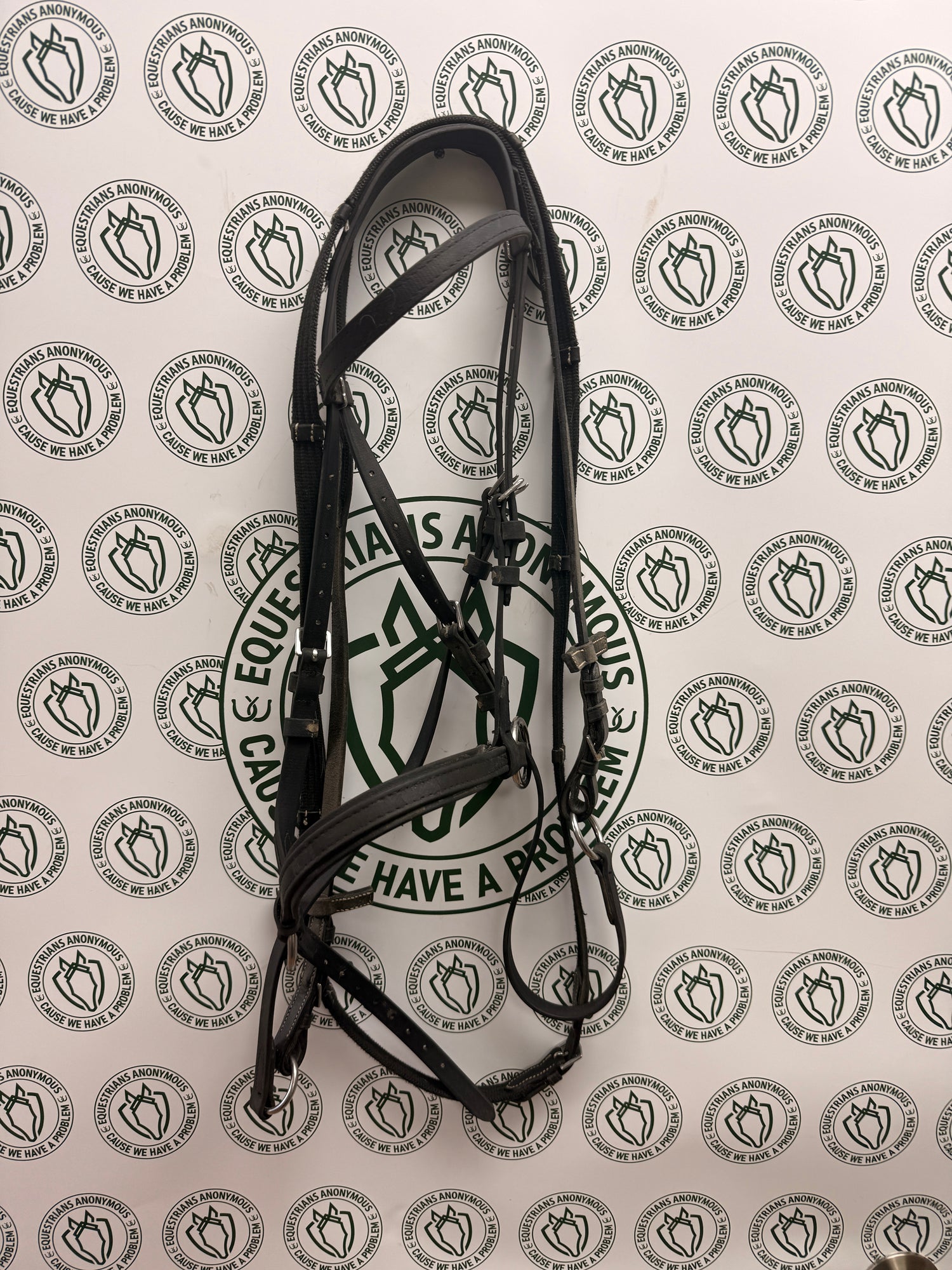 Dr. Cook side pull bridle with web reins
