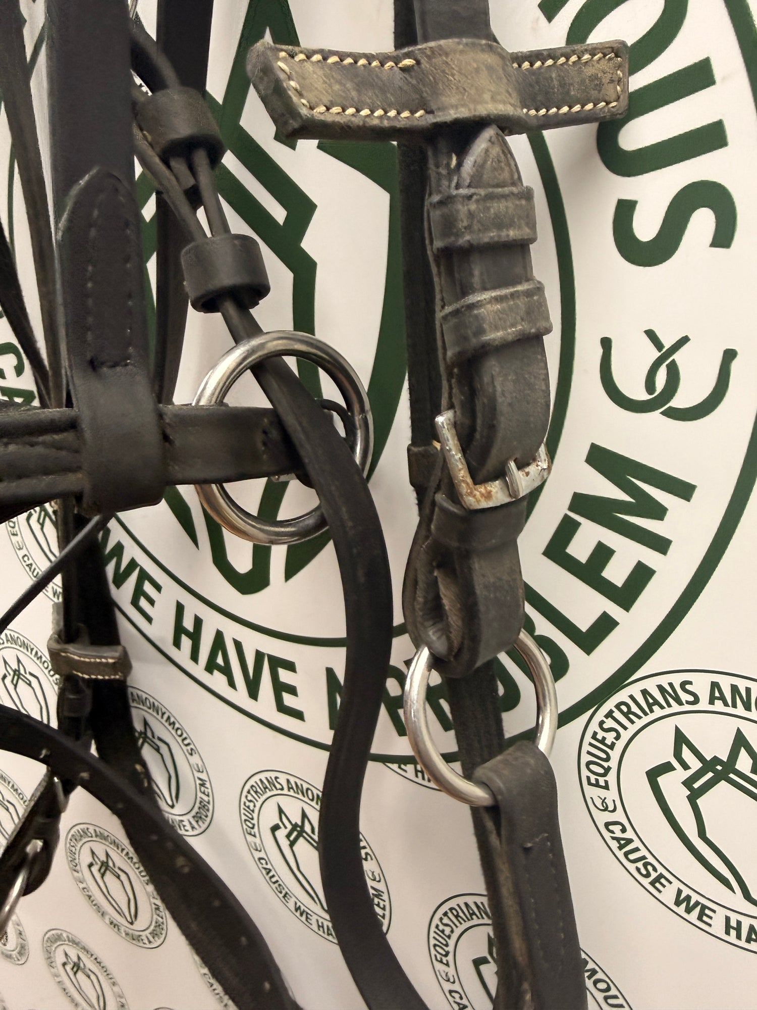 Dr. Cook side pull bridle with web reins