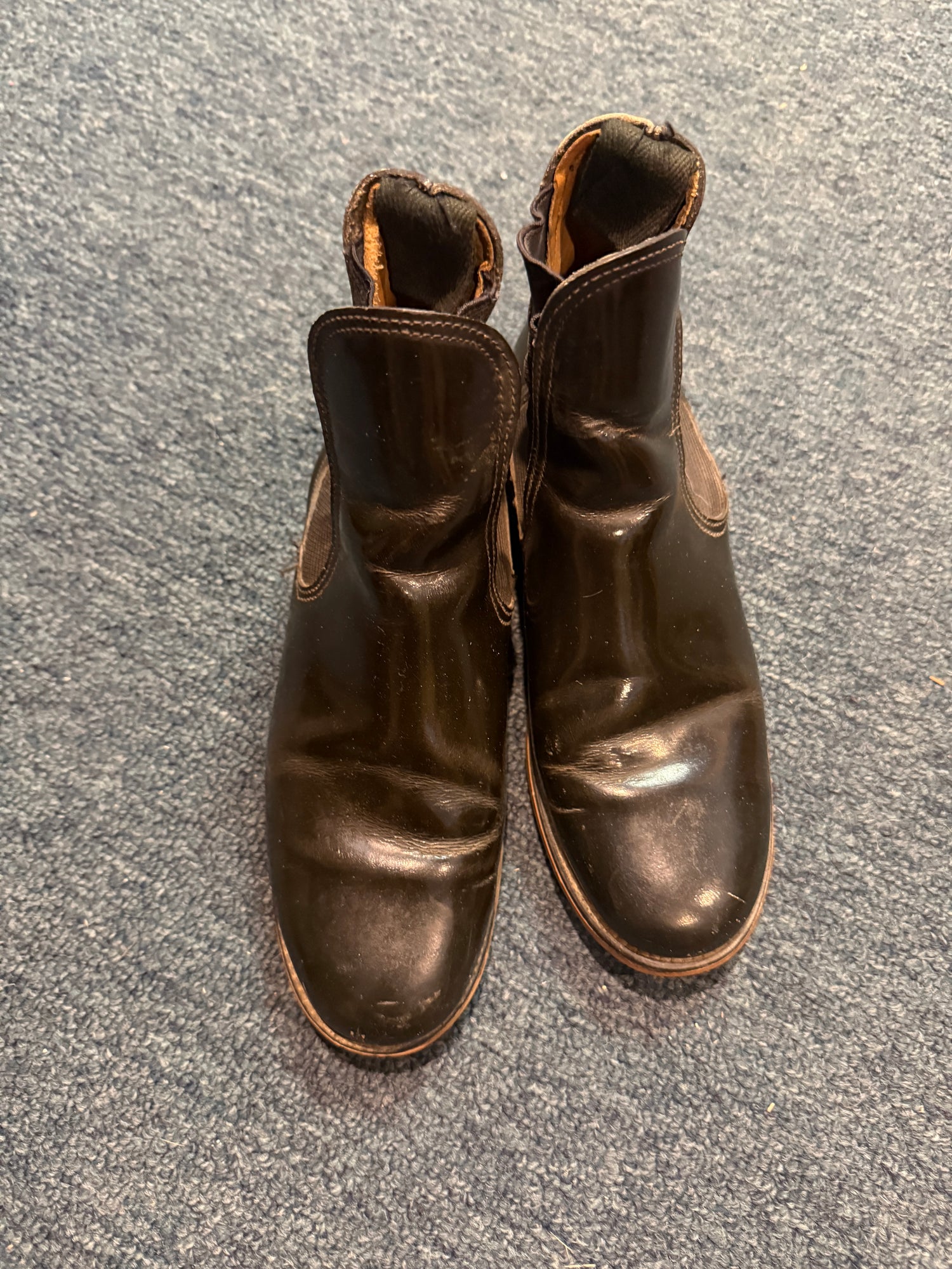 Paddock Boots assorted