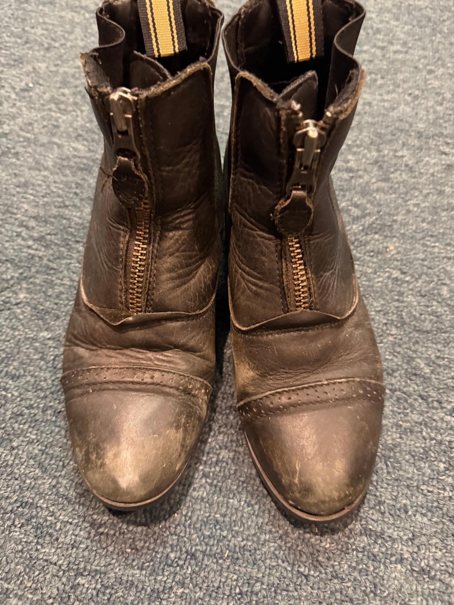 Paddock Boots assorted