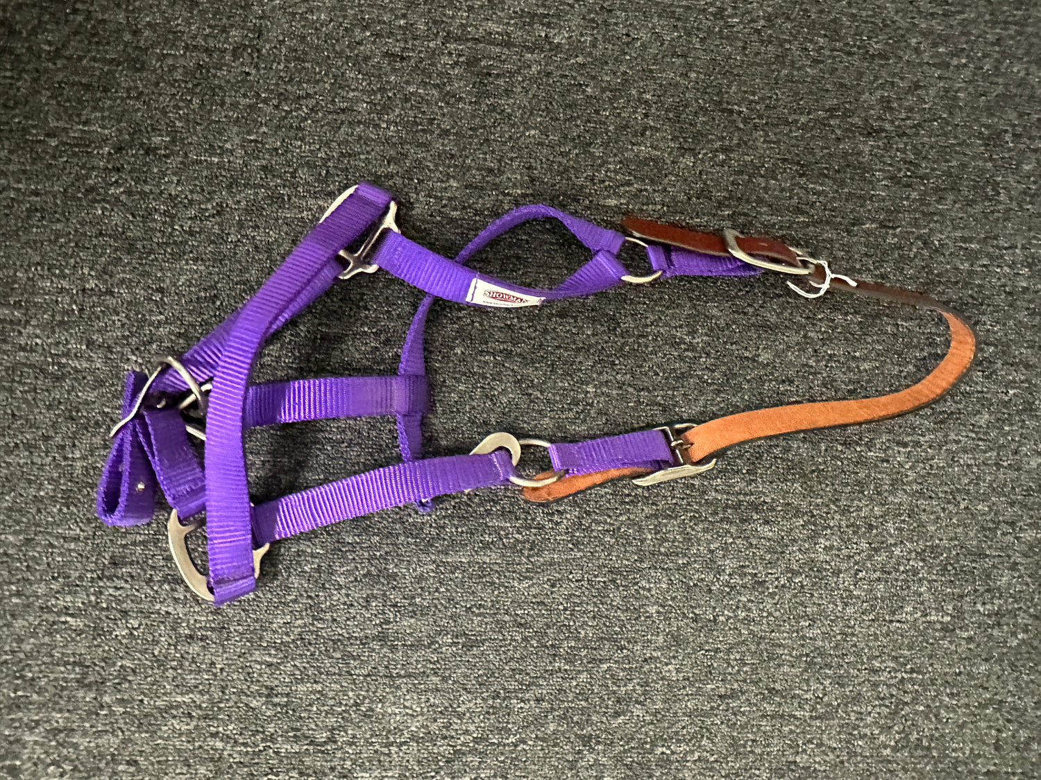 Purple Breakaway Halter