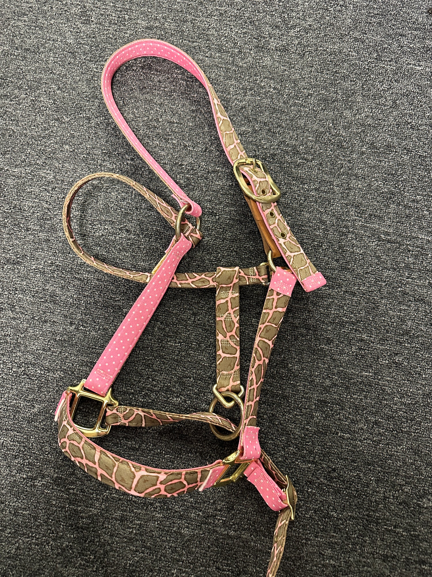 Pink Horse Halter