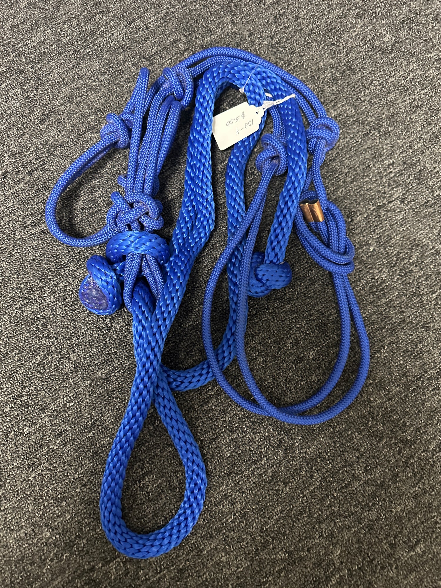 Blue Rope Halter and lead