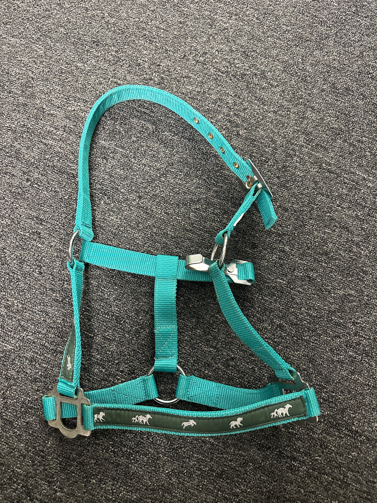 Teal Horse Halter