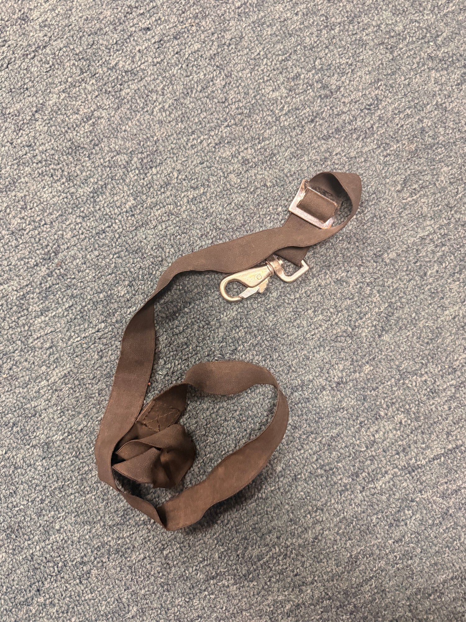 Single Blanket Strap