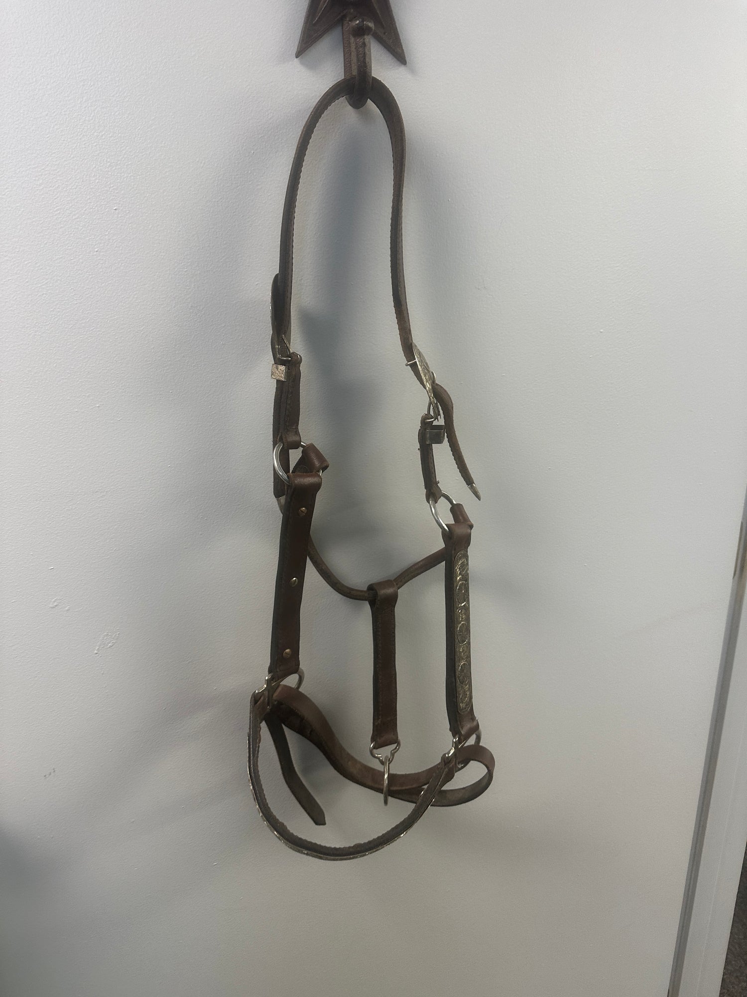 Western Show Halter with Silver
