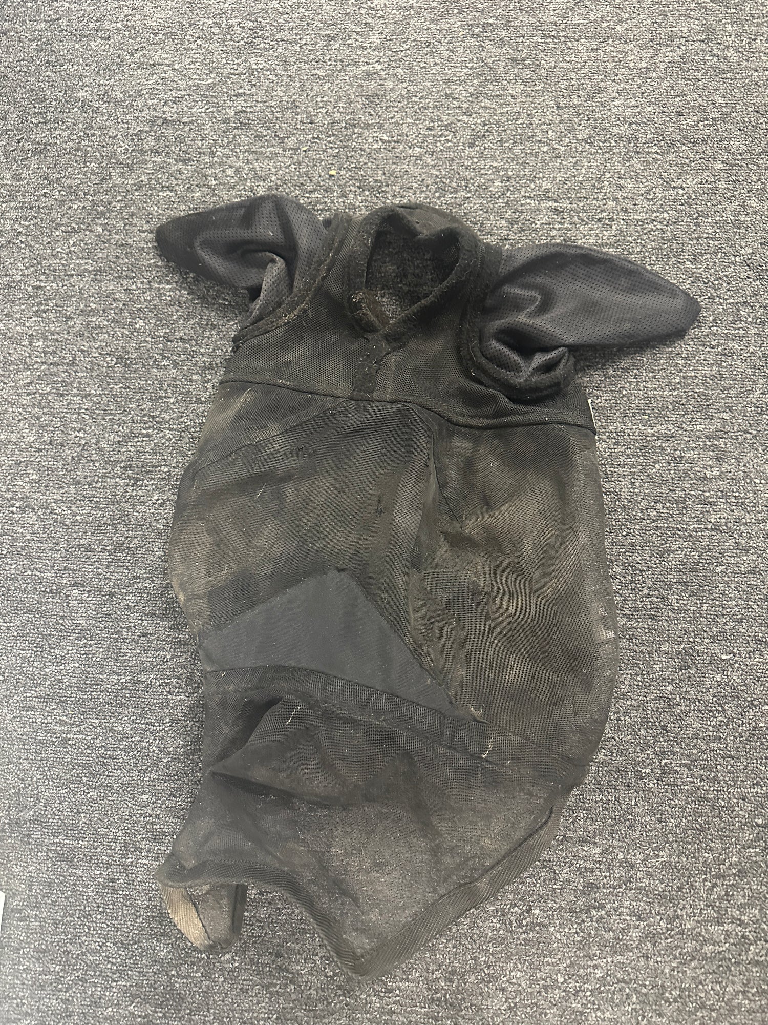 Fly Mask with ears