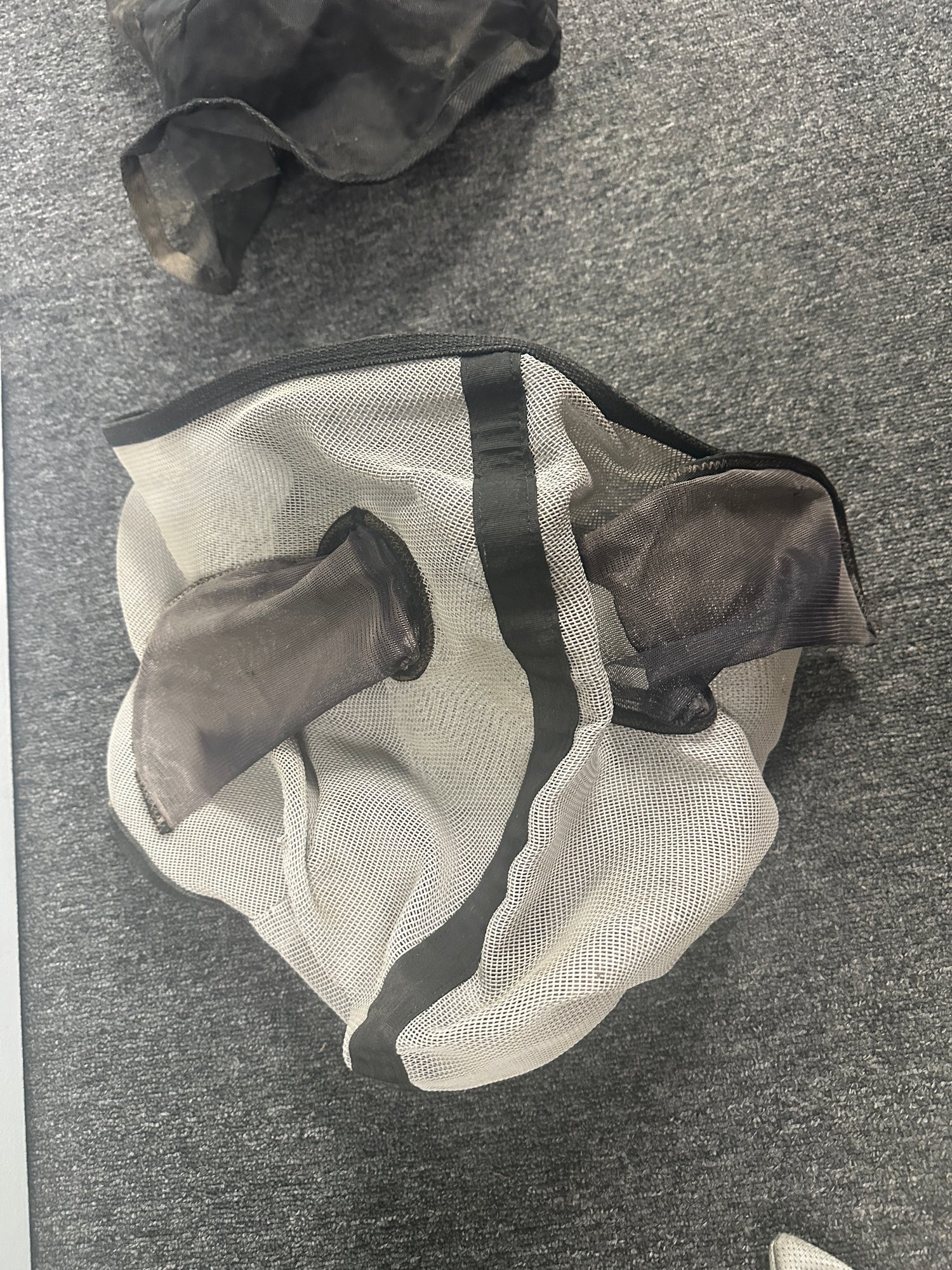 Fly Mask with ears