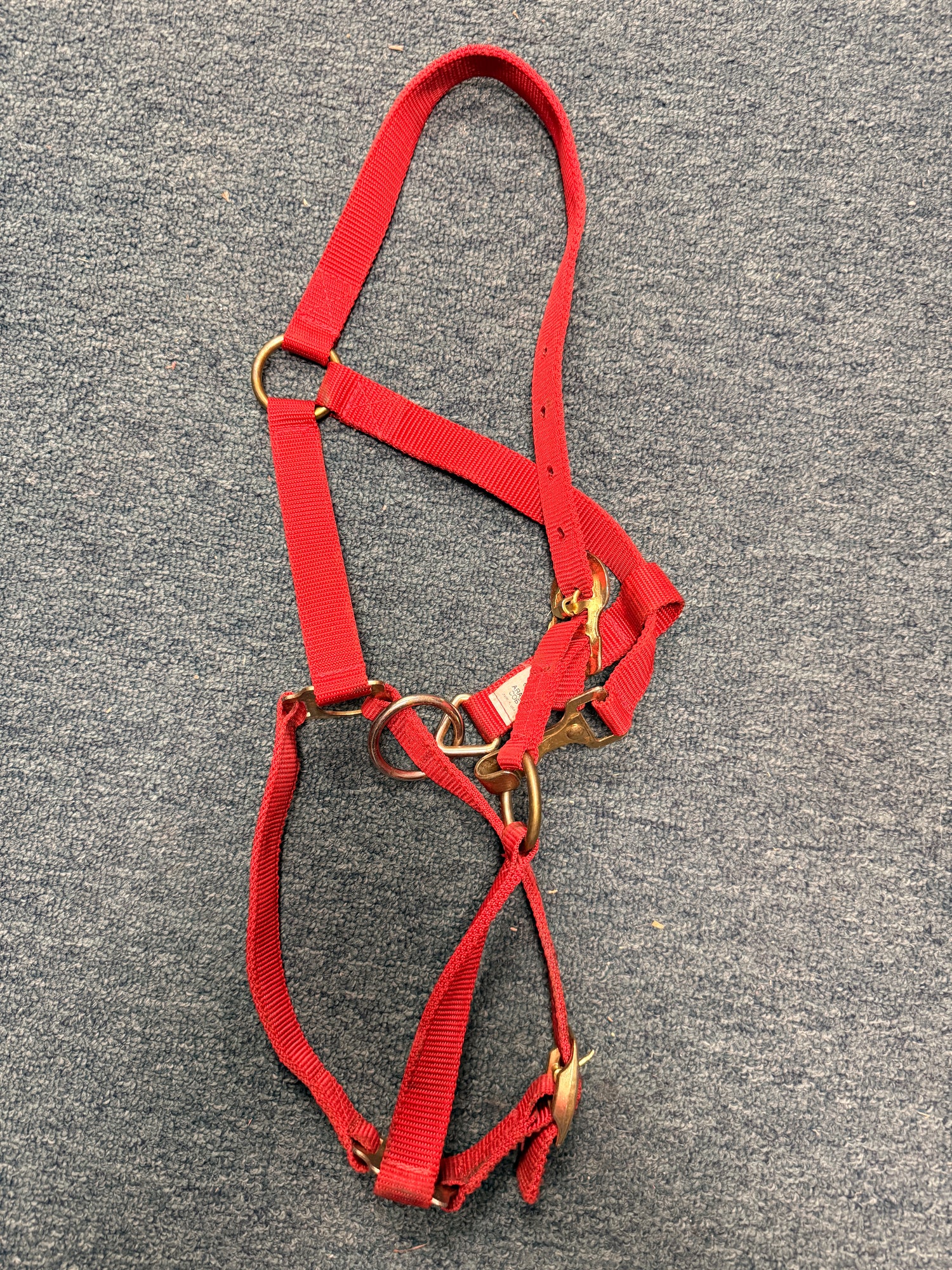 Arab / Cob Red Nylon Halter