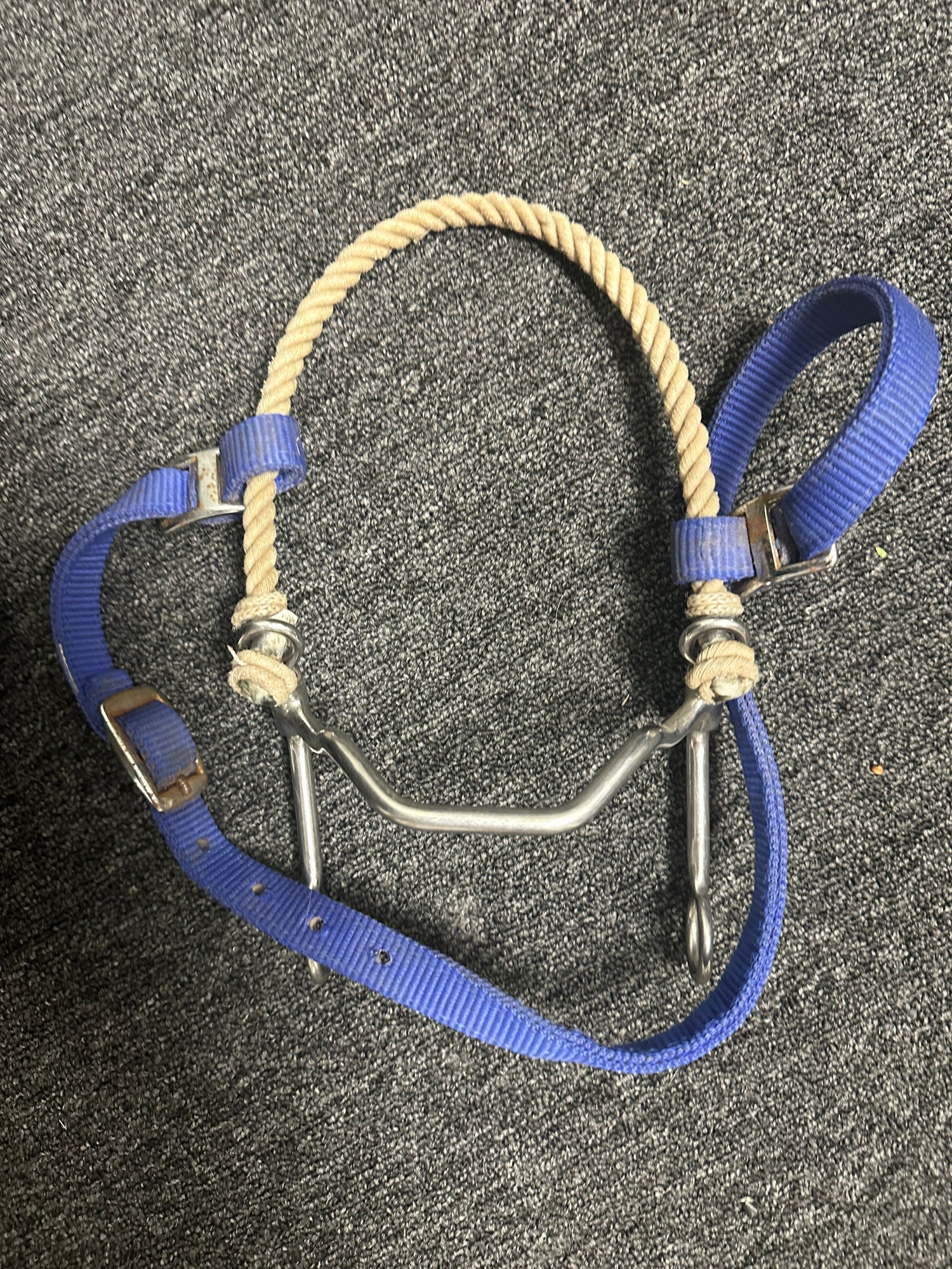 Horse Hackmoore bridle