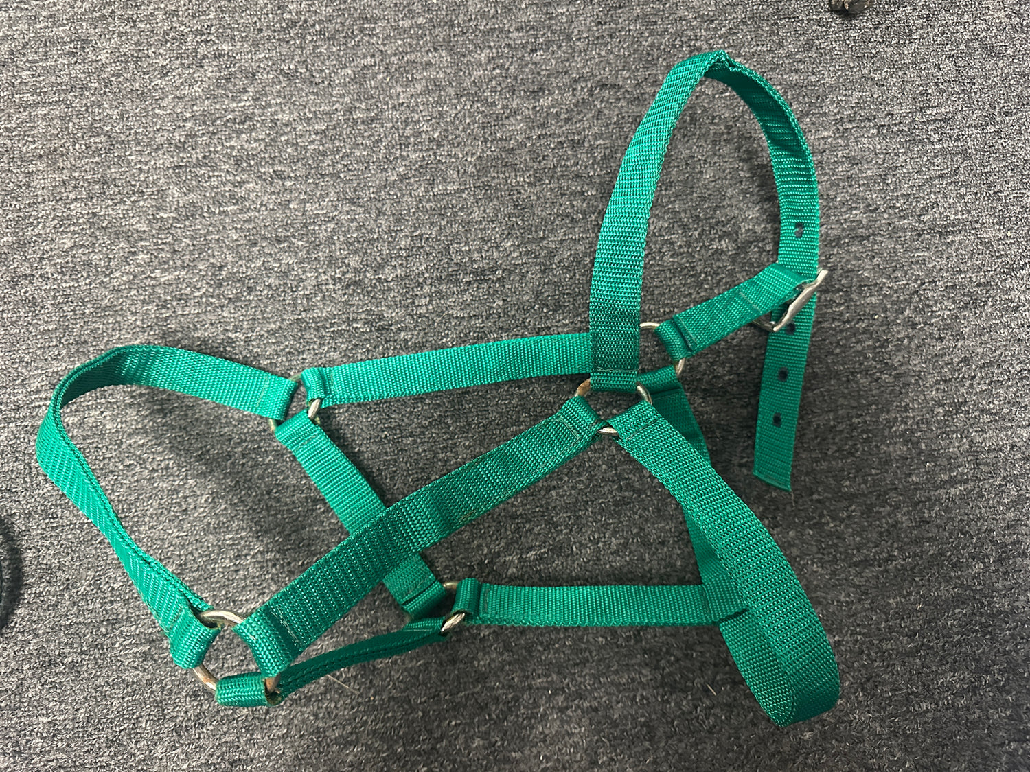 Nylon Halter