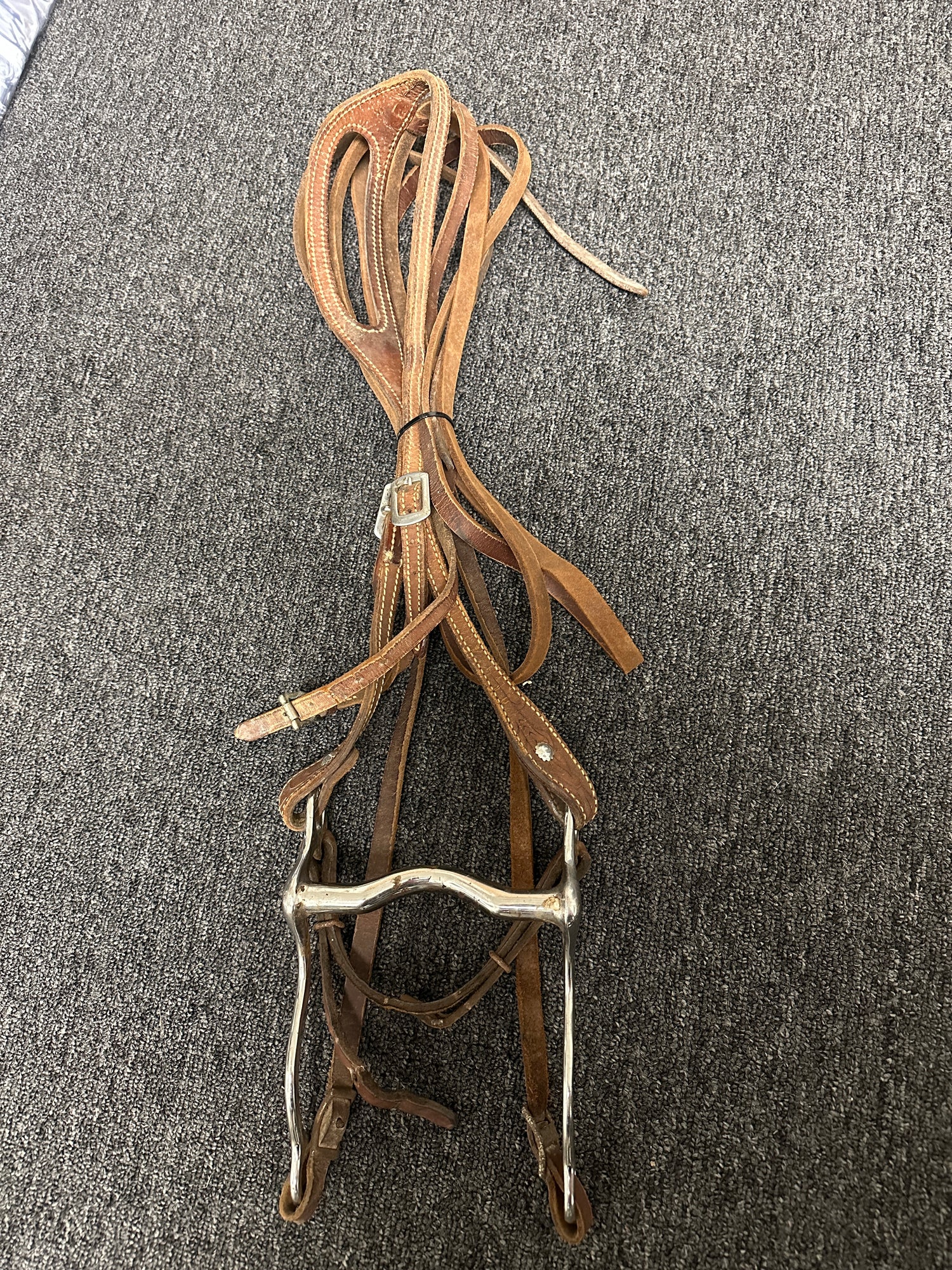 bridle Western headstall with bit and Reins