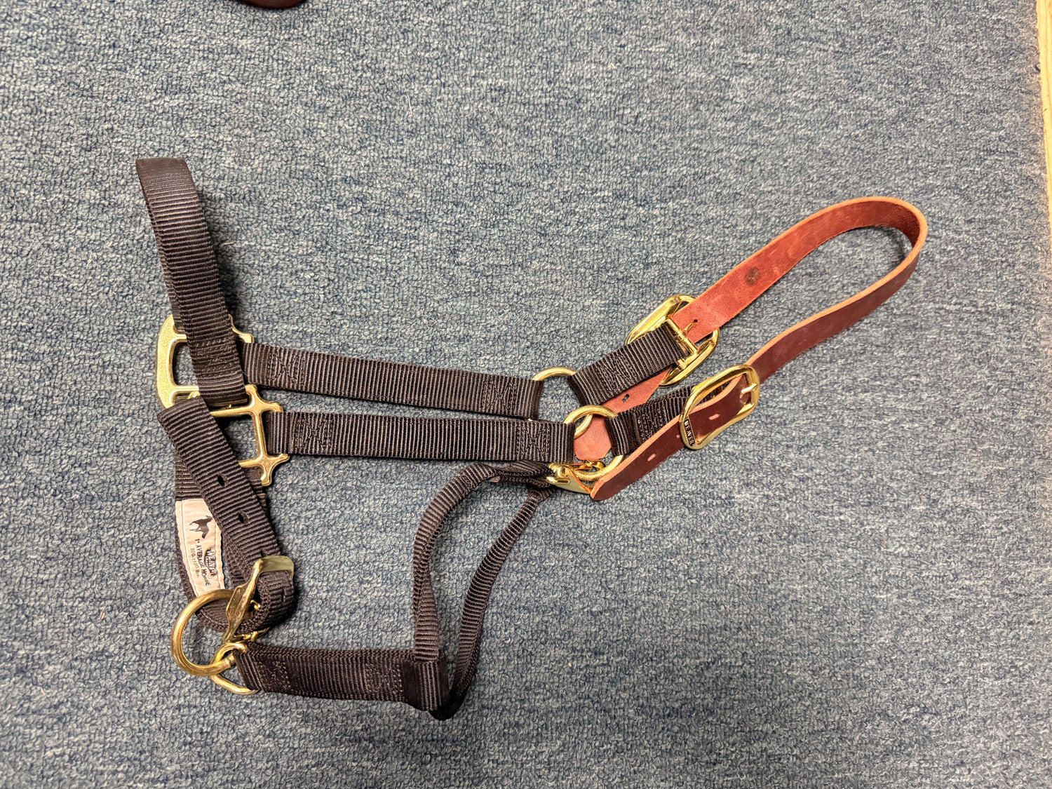 Horse size breakaway halter by Weaver