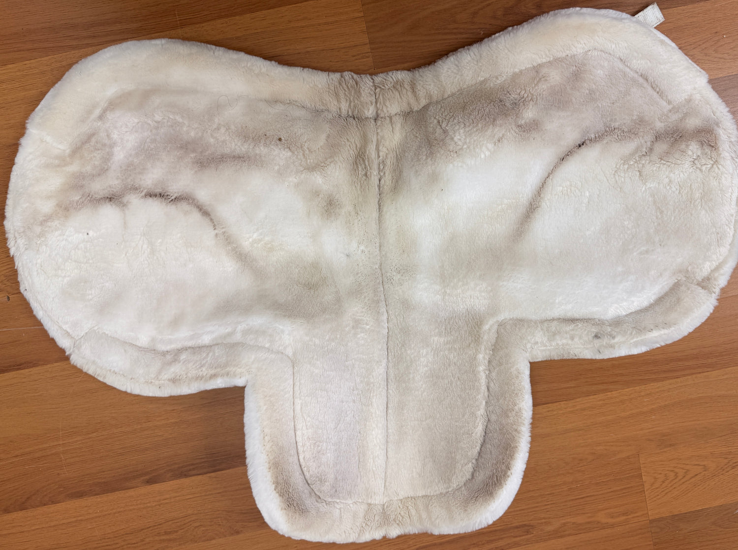 19" Spine Performance by Shires Shaped English pad