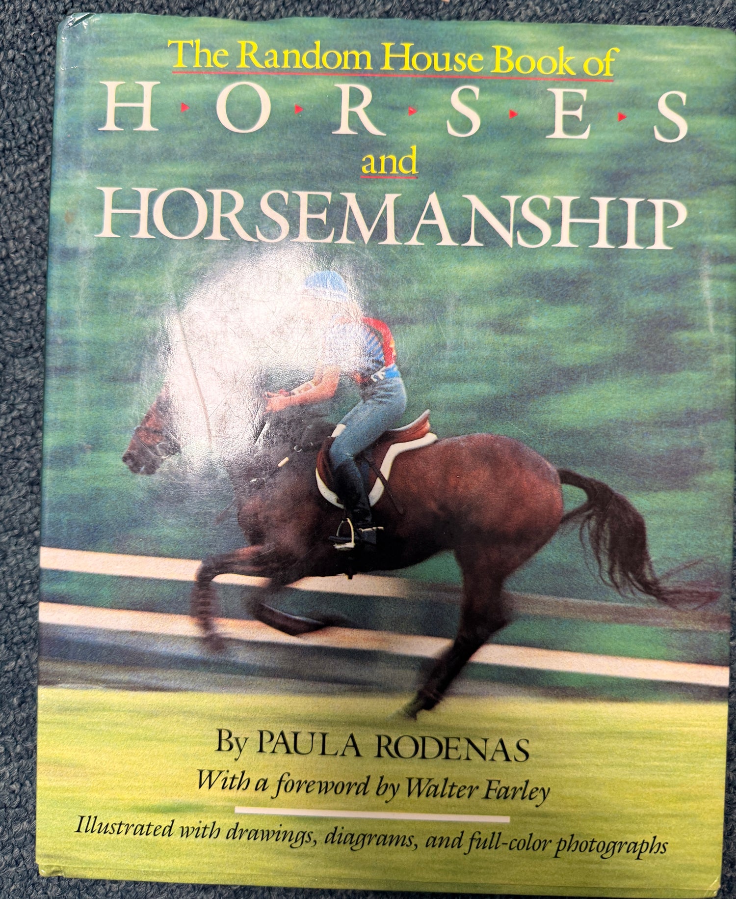 Horses and Horsemanship by Paula Rodenas