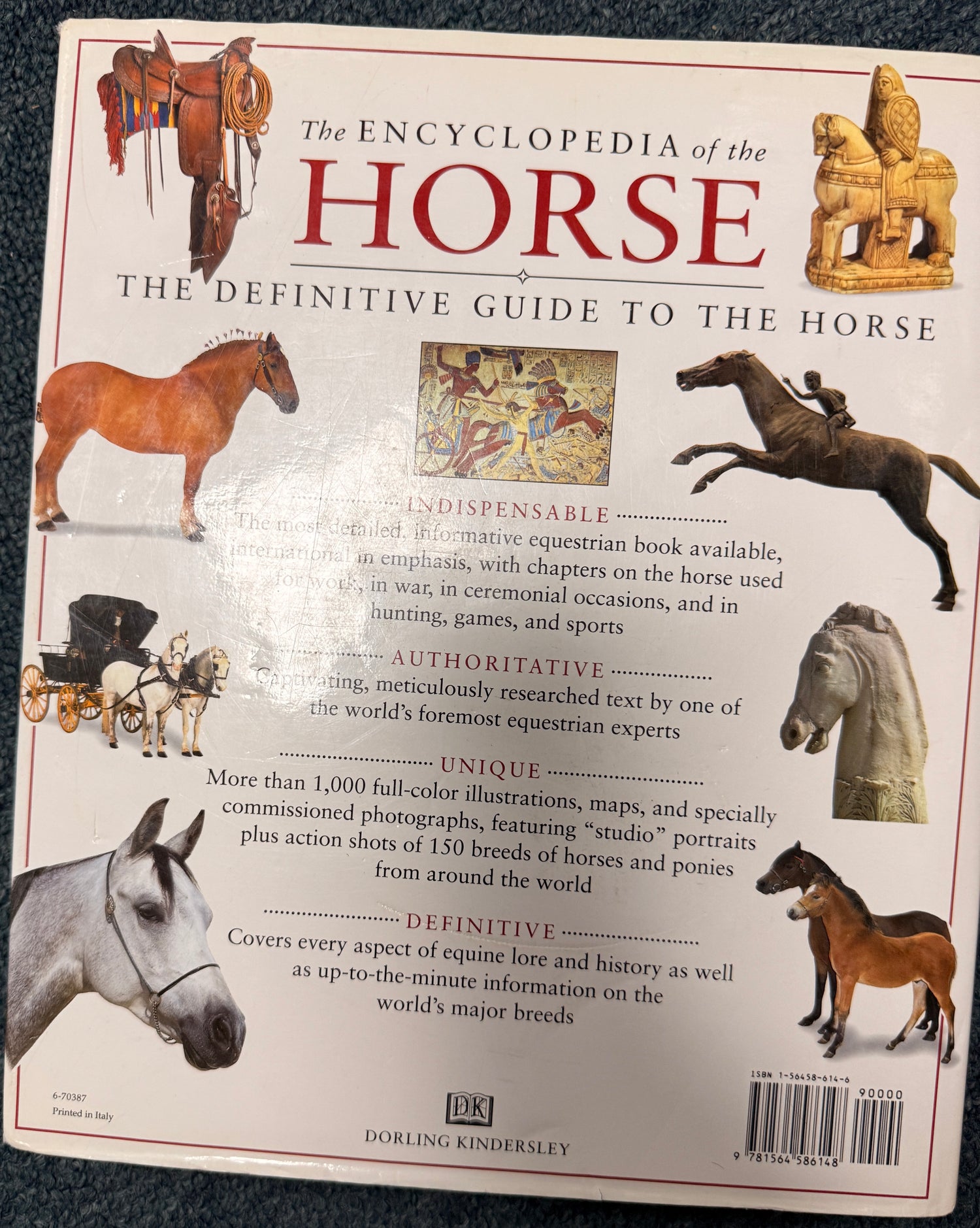 Ehe Encyclopedia of the Horse by Elwyn Hartley Edwards