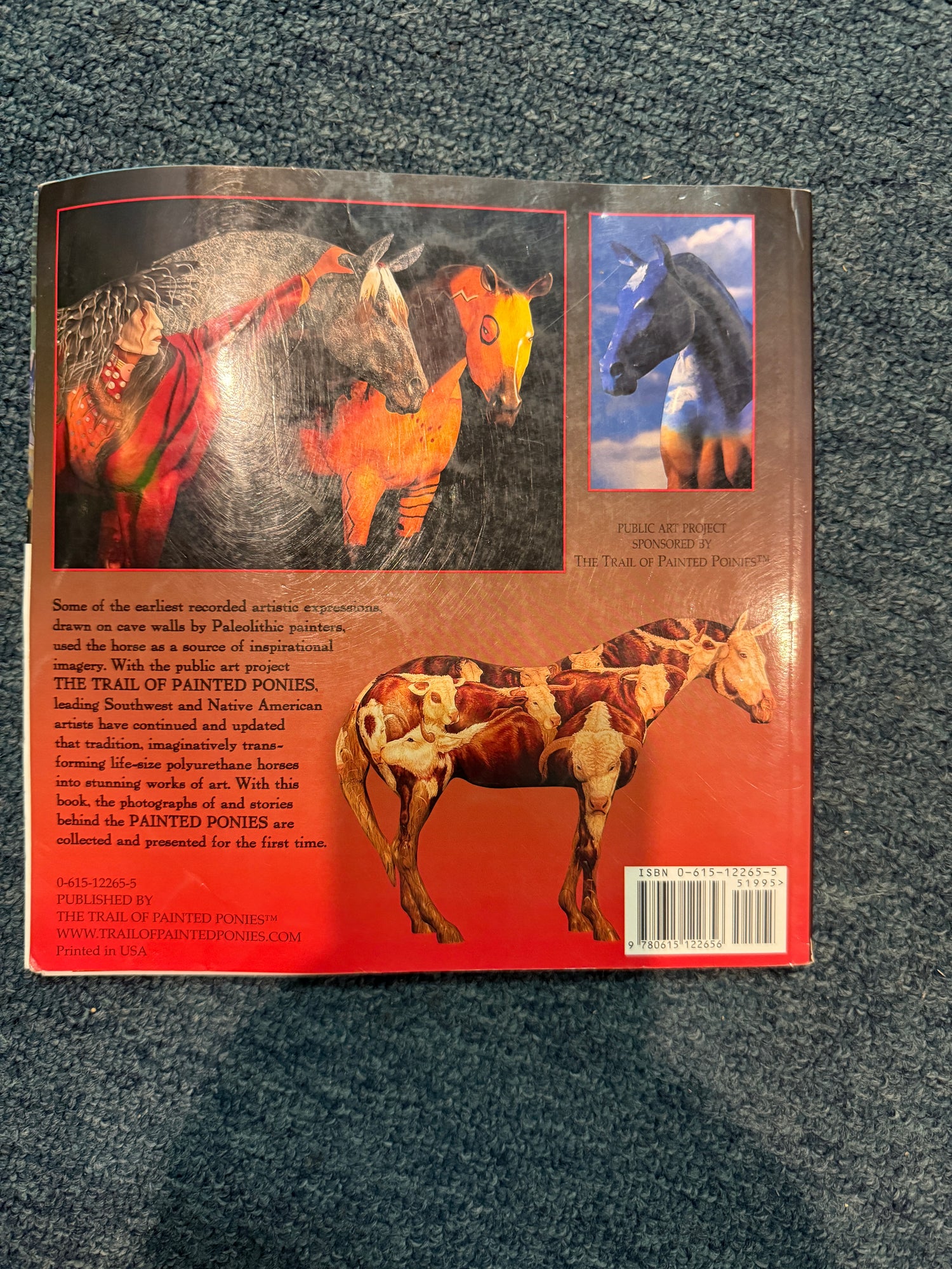 The Trail of the painted ponies - used condition