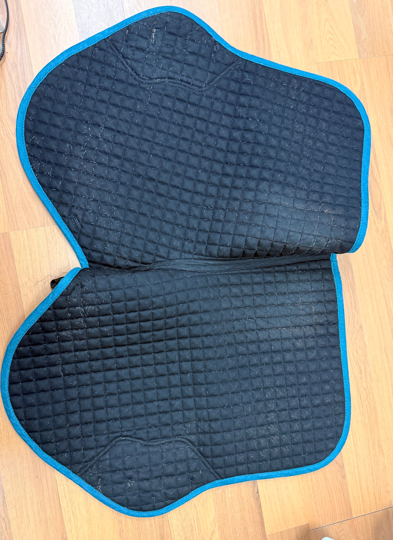 Large Close Contact LeMieux Pro Sport Emerald green saddle pad