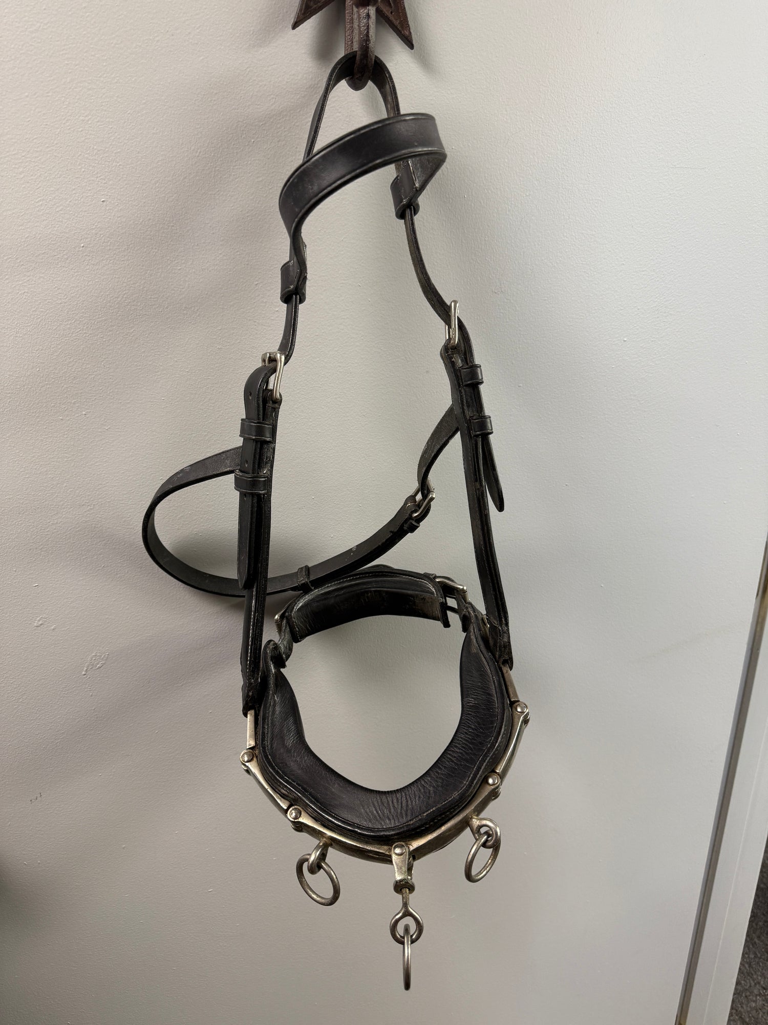 Lunging Cavason Black Leather