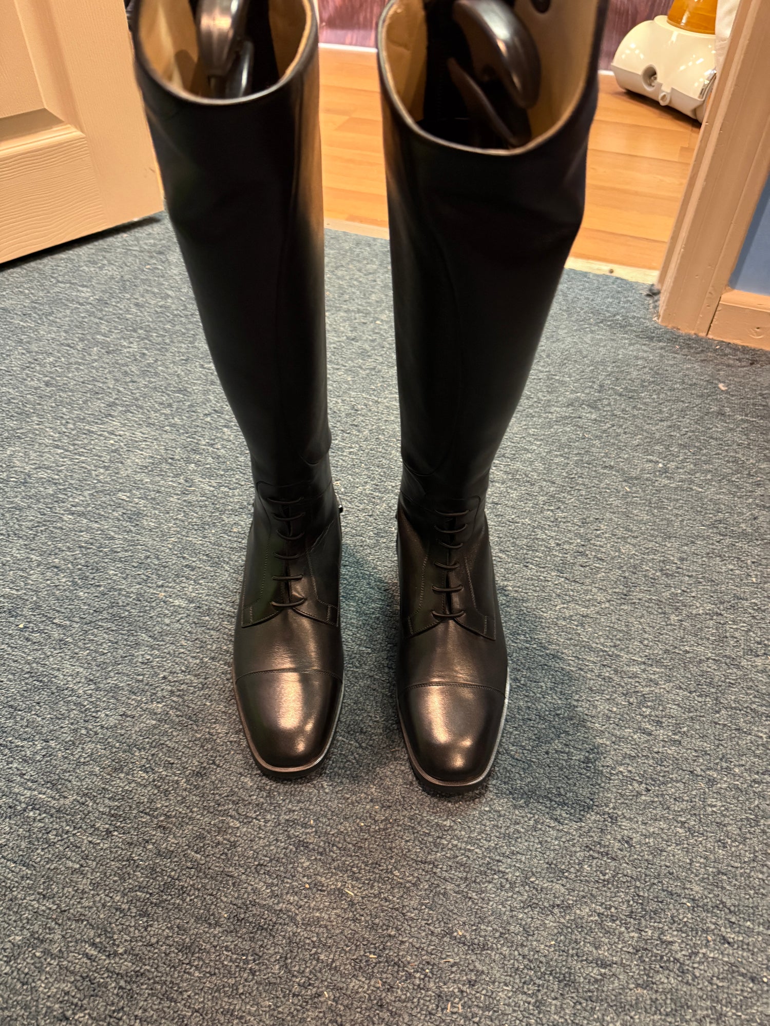 7 Women's Ariat Divino Tall Field Boots BRAND NEW