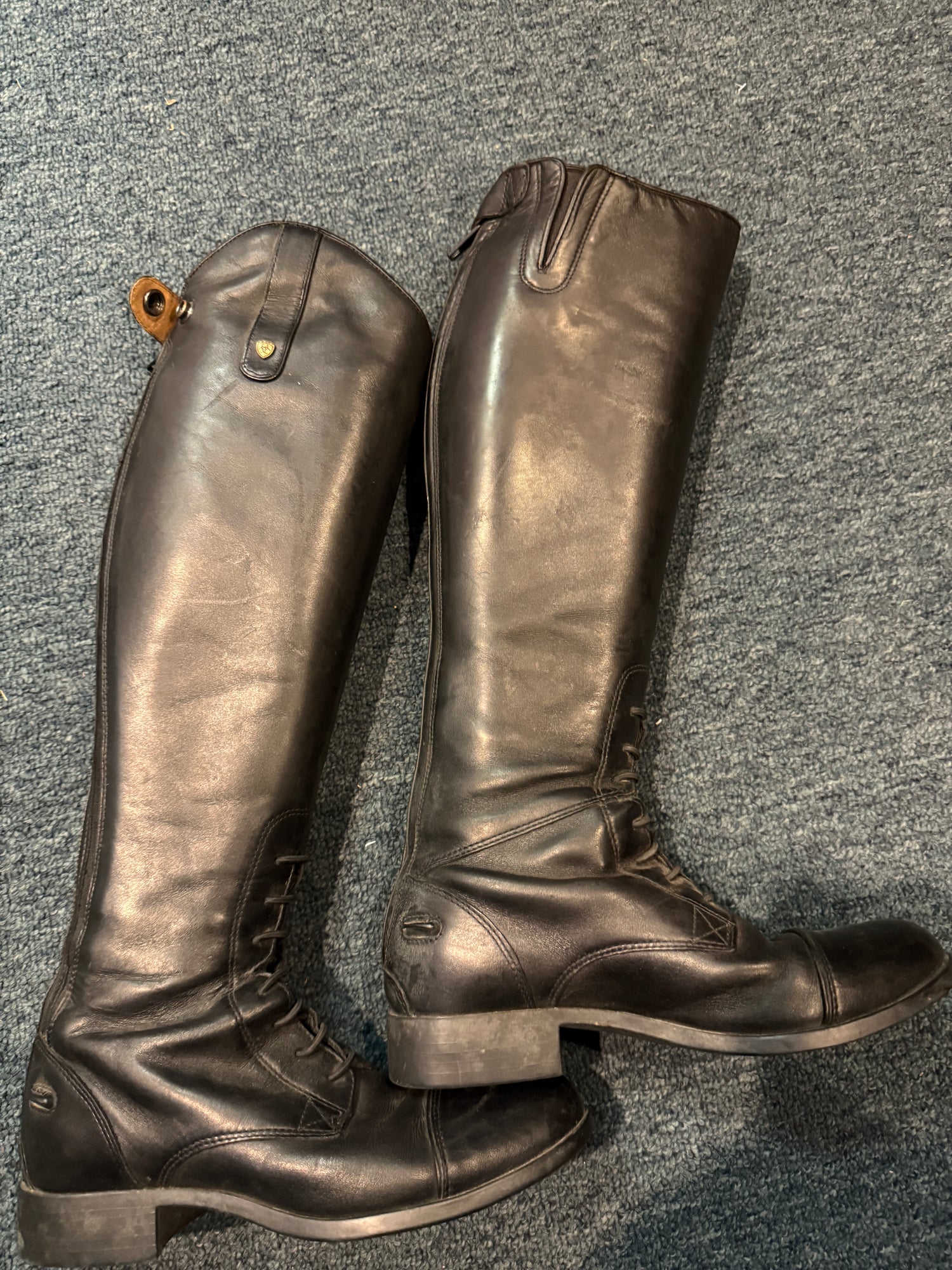 6.5 Women's Ariat Tall Field Boots in Like new condition