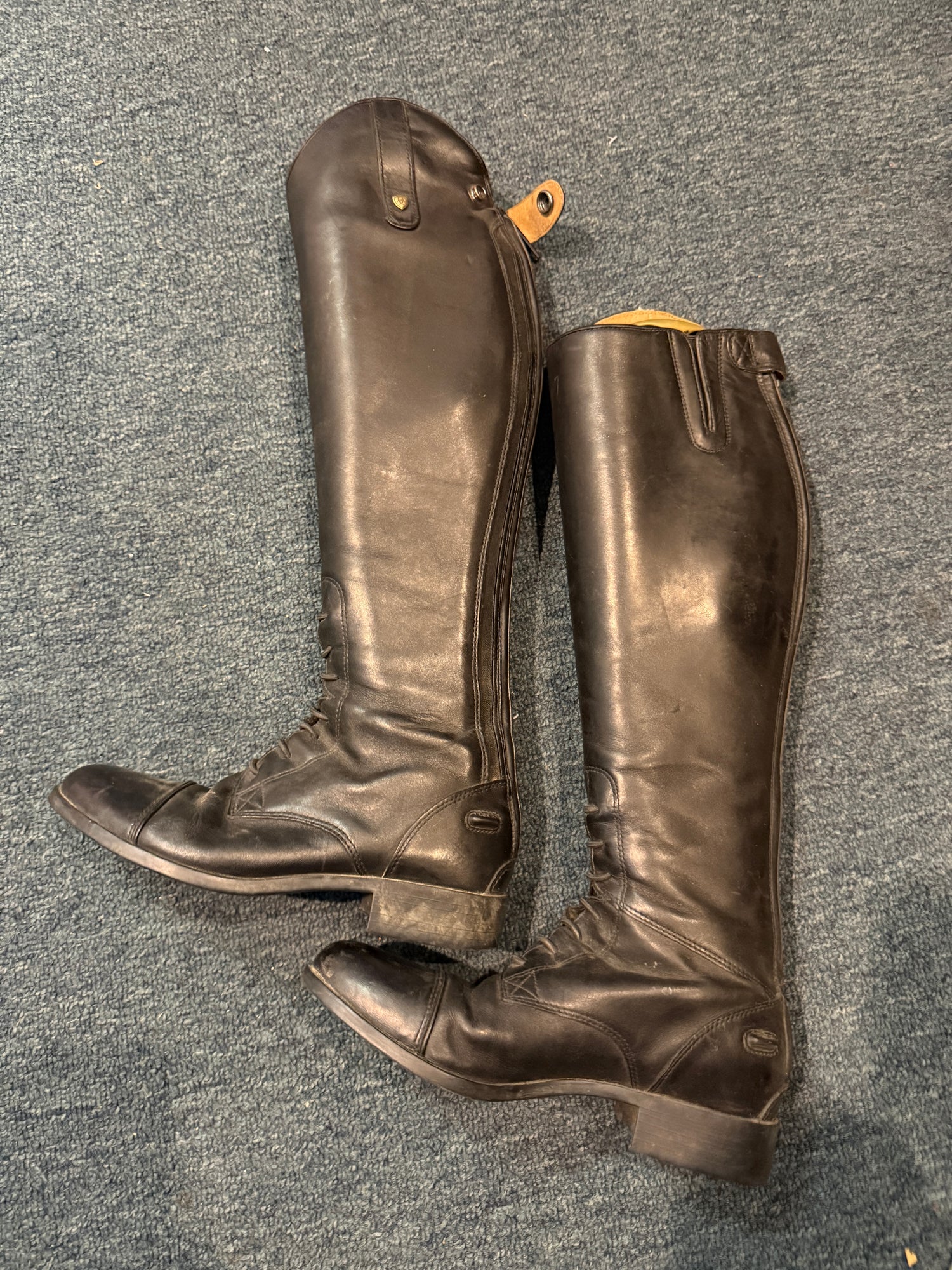 6.5 Women's Ariat Tall Field Boots in Like new condition