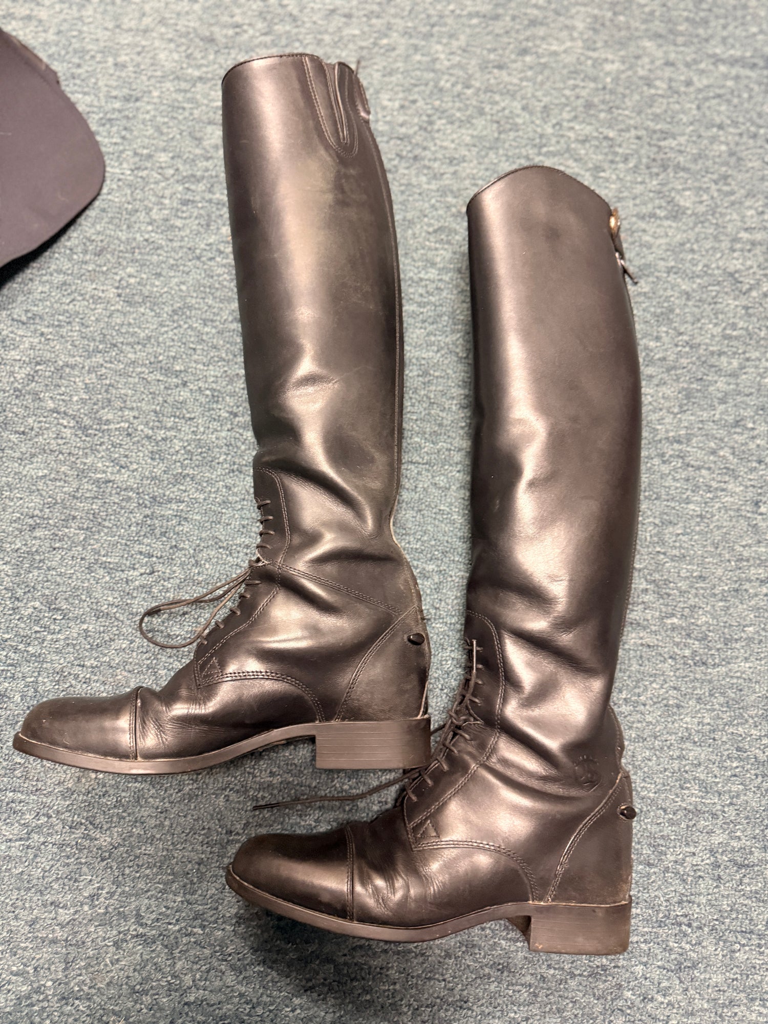 7 Ariat Women's Field Boots Slim Calf / Tall black