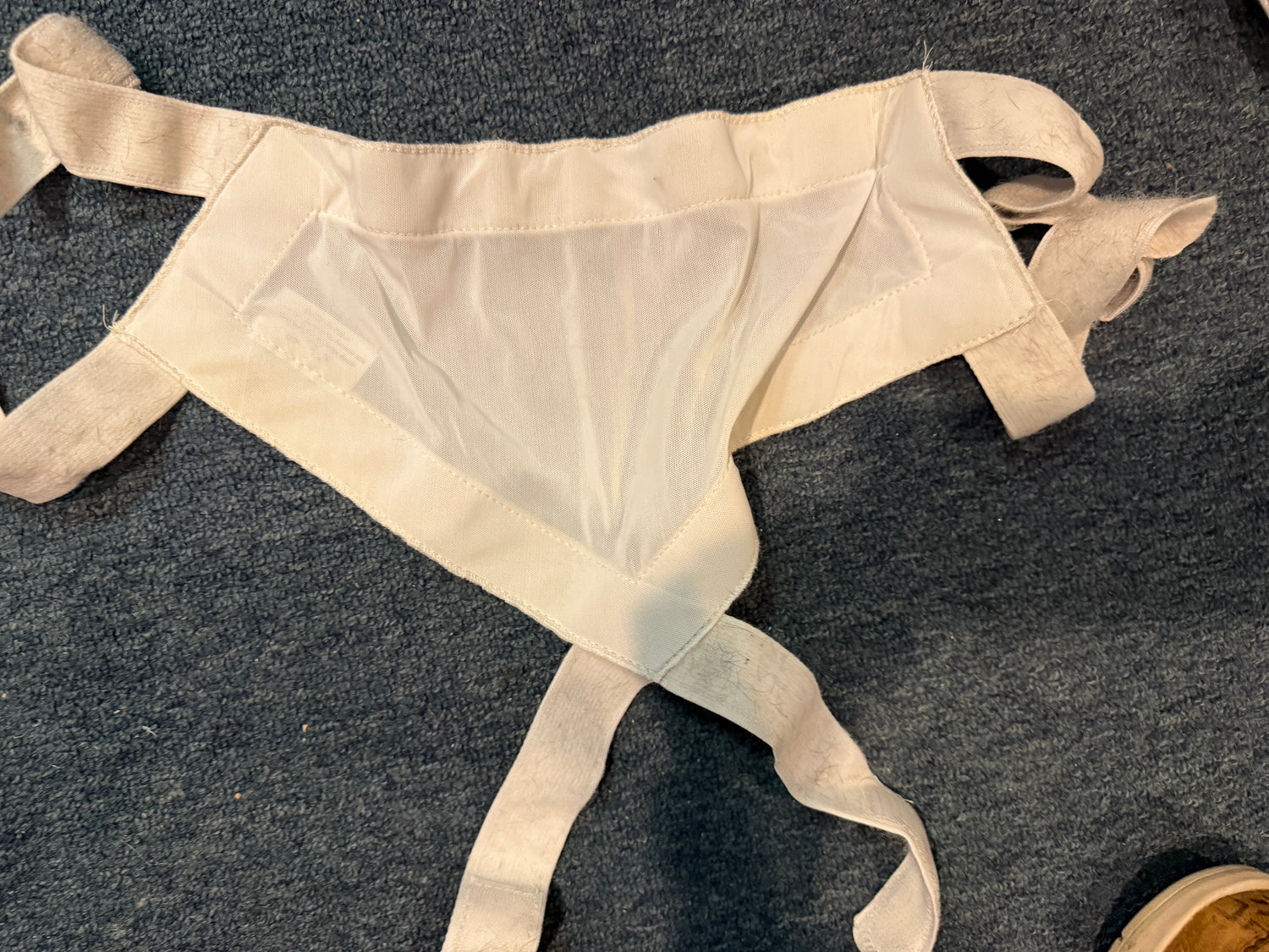 Shoulders Back by Equifit white