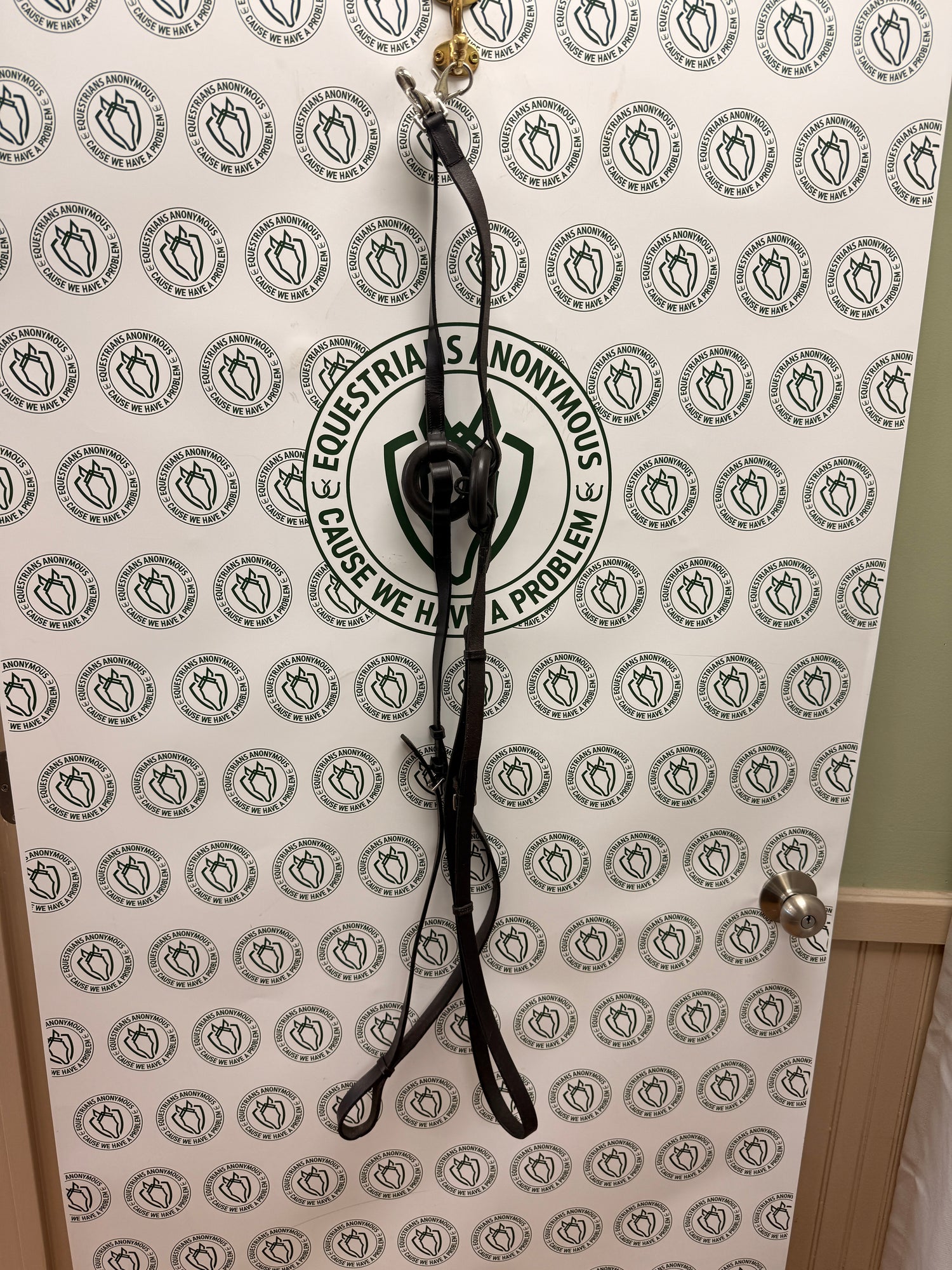 leather side reins with rubber donut and clips