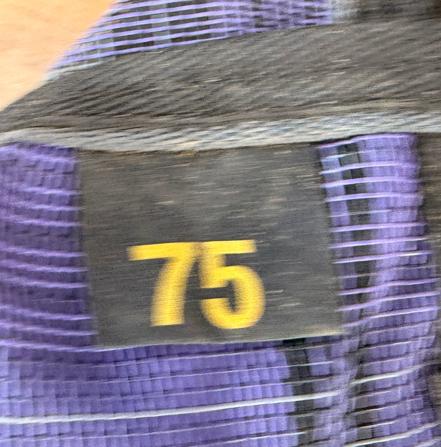 75 Kensington Purple Fly sheet