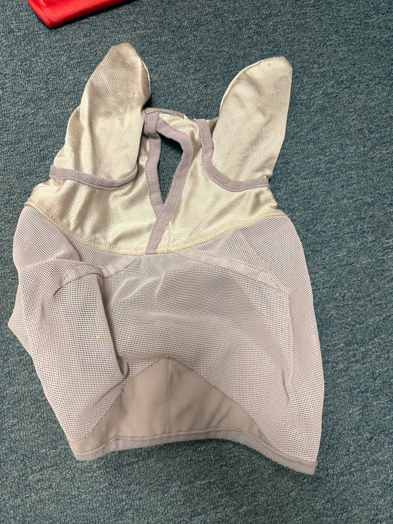 Warmblood Fly masks