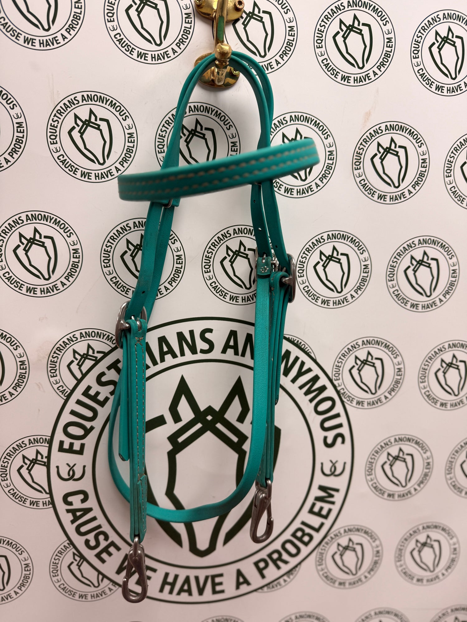Teal Biothane Bridle with Bit Clips Cob sized