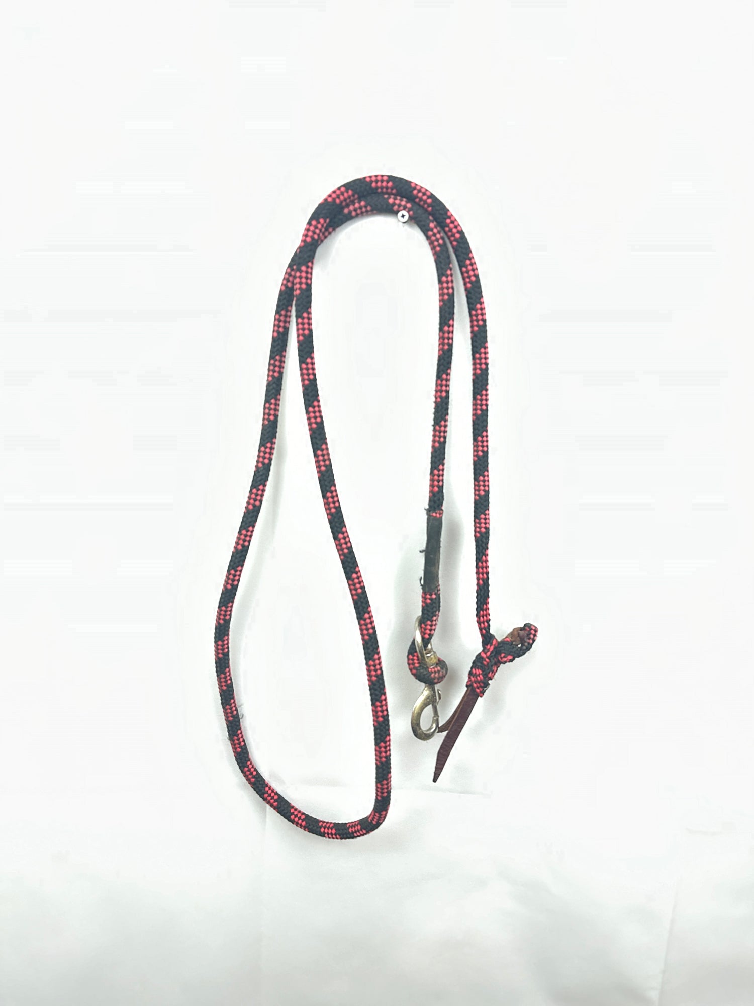 Red and black lead rope with buckle