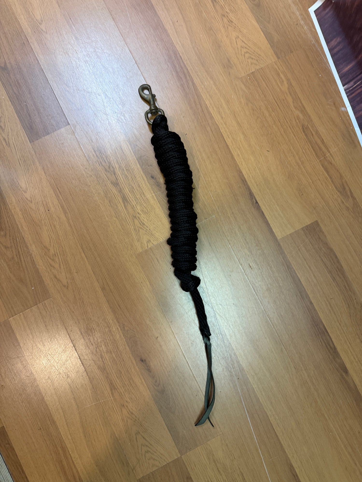 Black Cotton Lead rope with leather tails